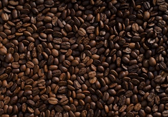 coffee bean lot