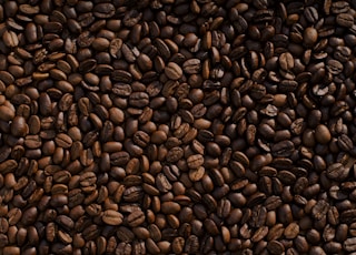 coffee bean lot