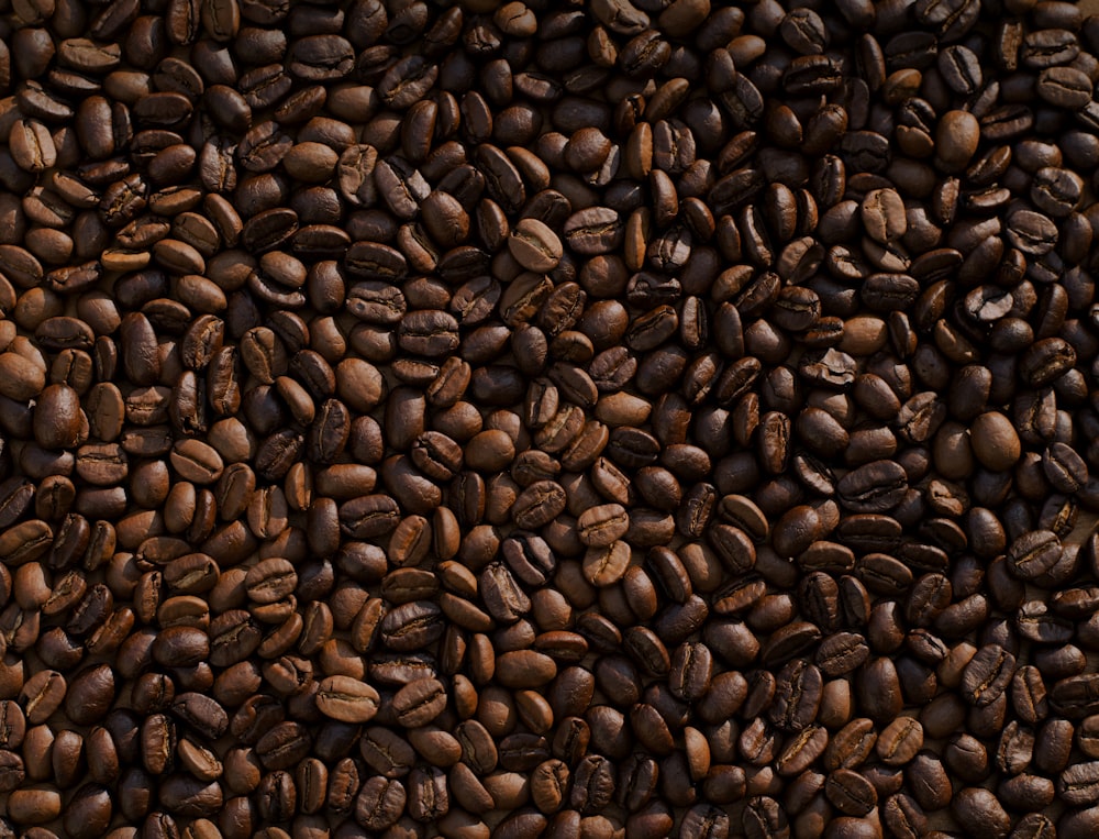 Premium Coffee Beans