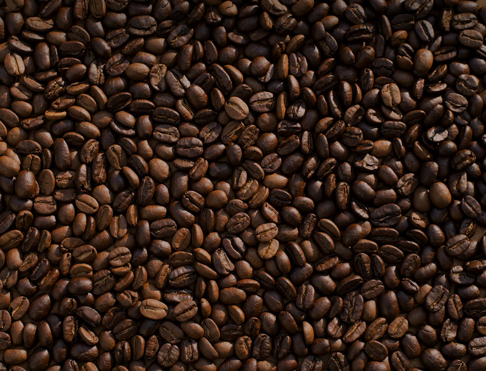 Artisanal Roasted Whole Coffee Beans in Warm Daylight