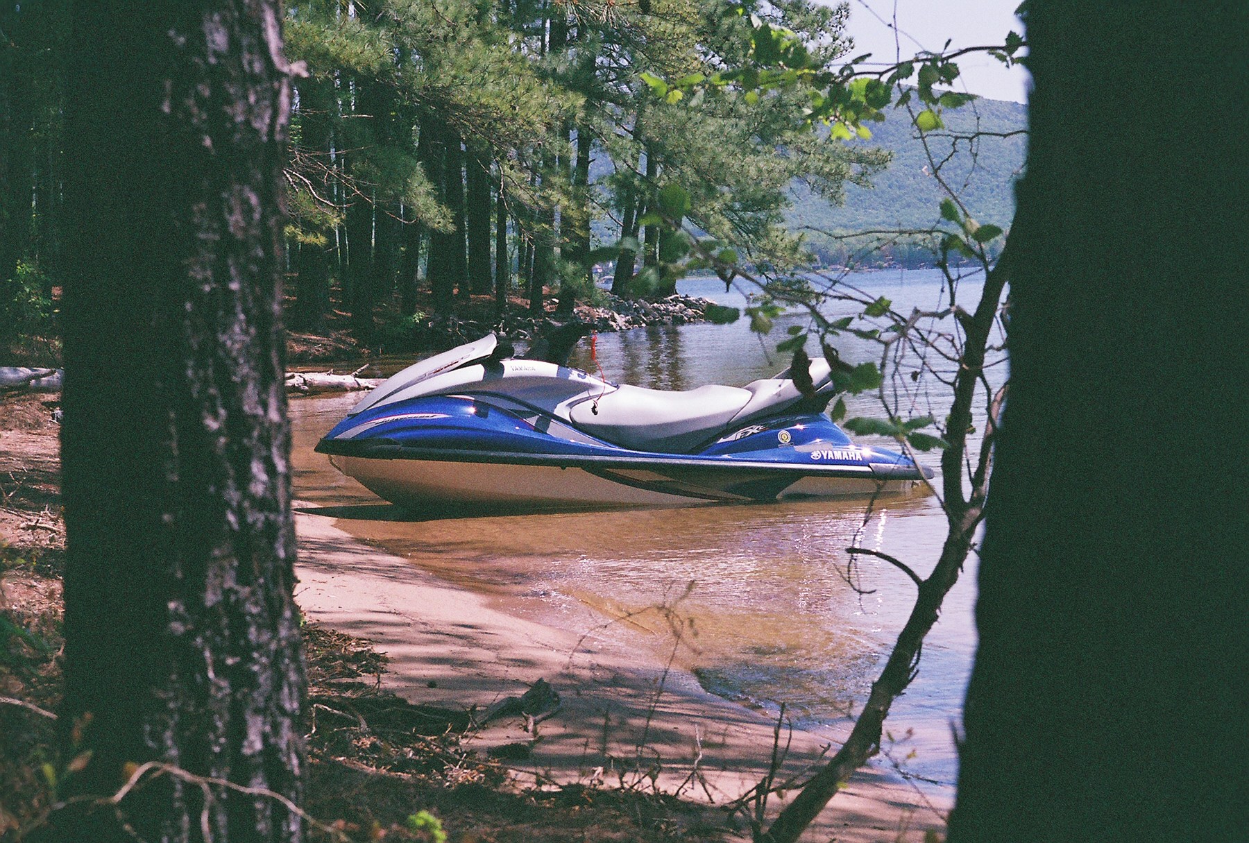 Free Unsplash photo from Dave Poore