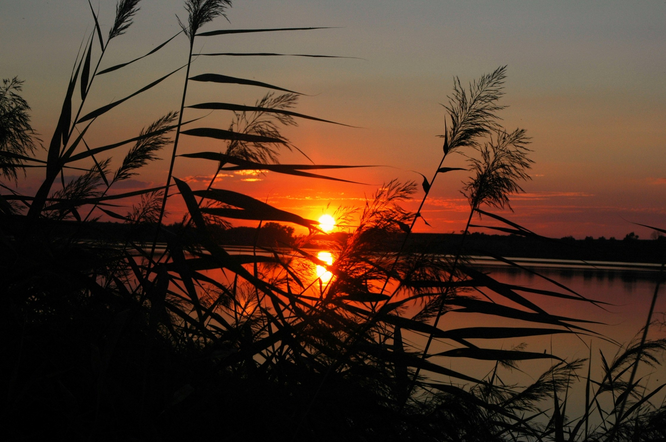 Free Unsplash photo from Llum Isart