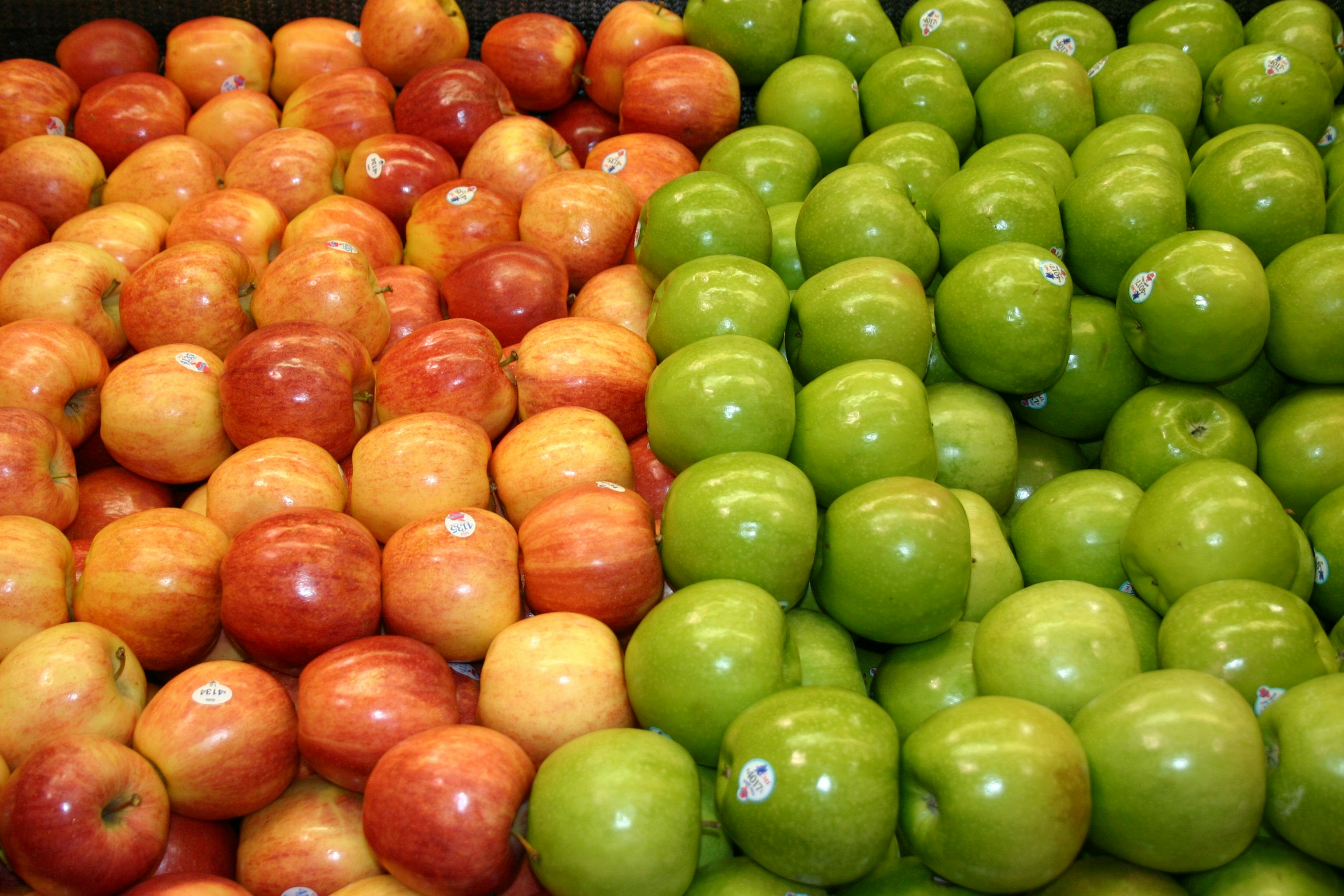 Free Unsplash photo from Michael Kadel