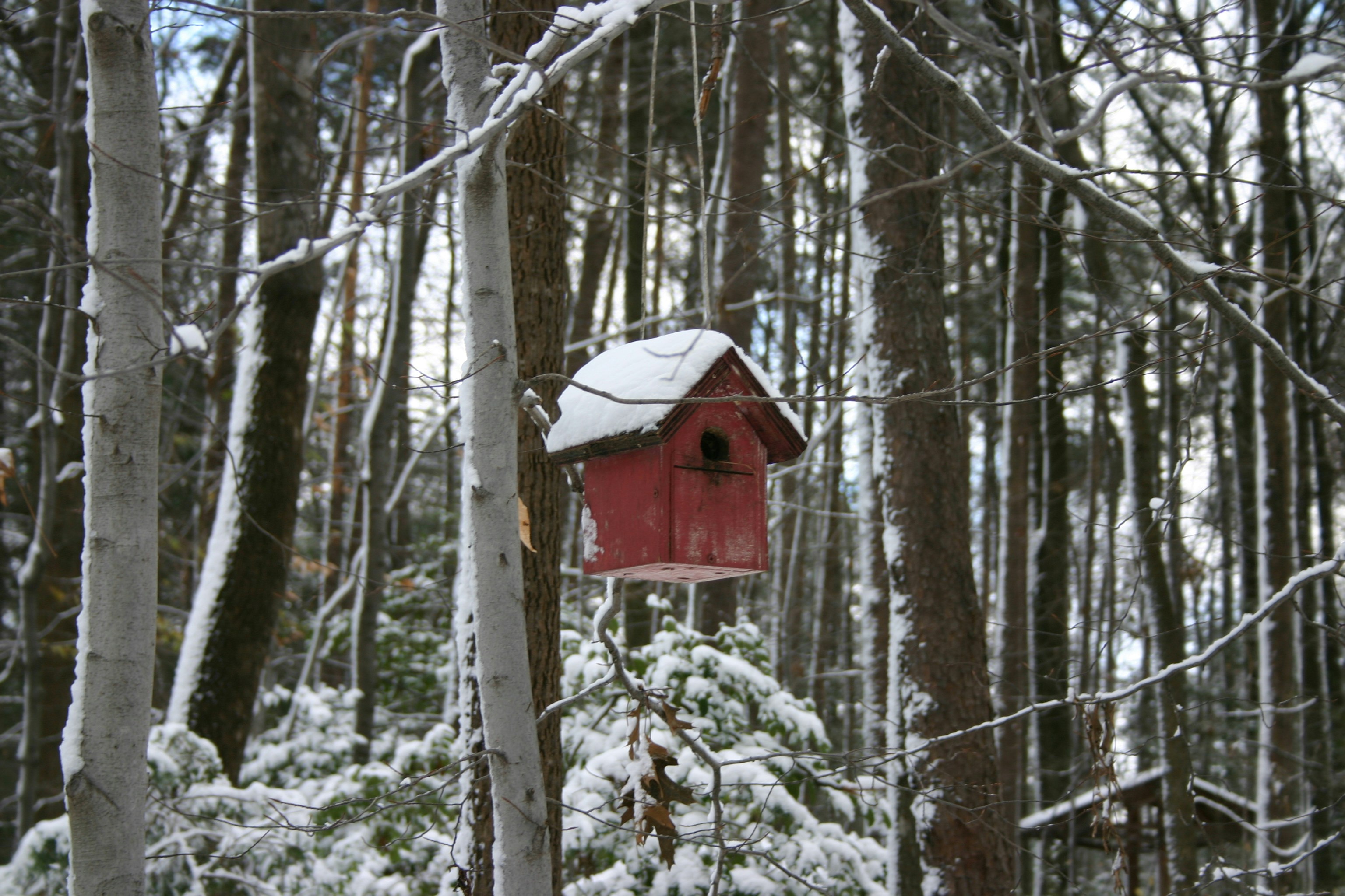 Free Unsplash photo from Michael Kadel