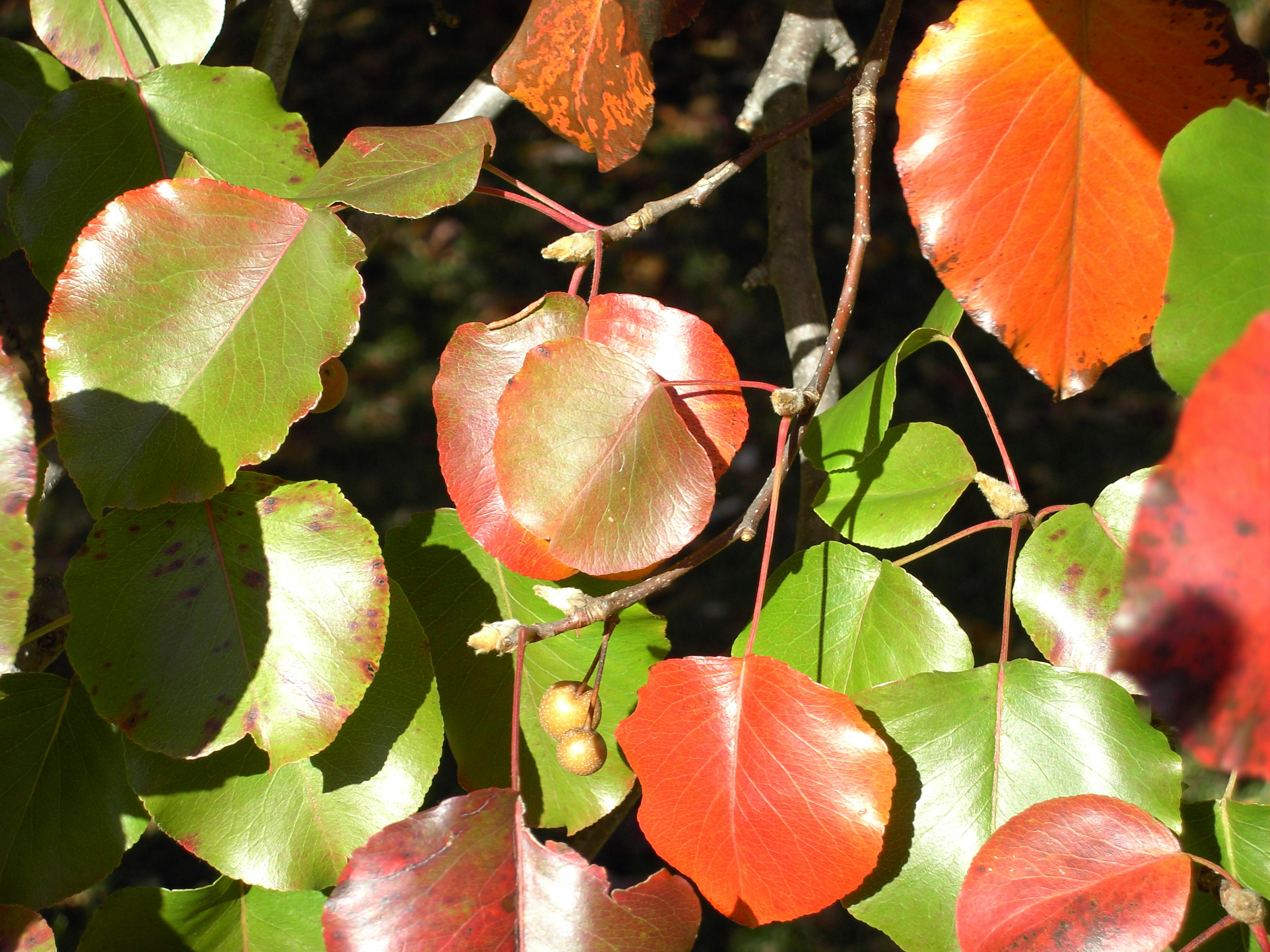 Free Unsplash photo from Michael Kadel