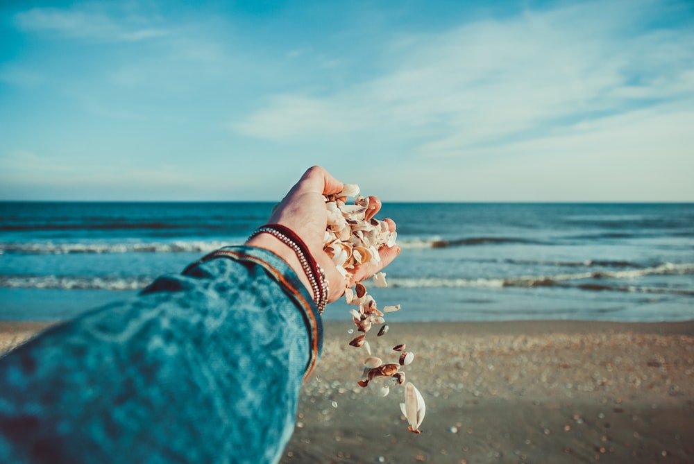 persona arrojando conchas marinas a la orilla del mar