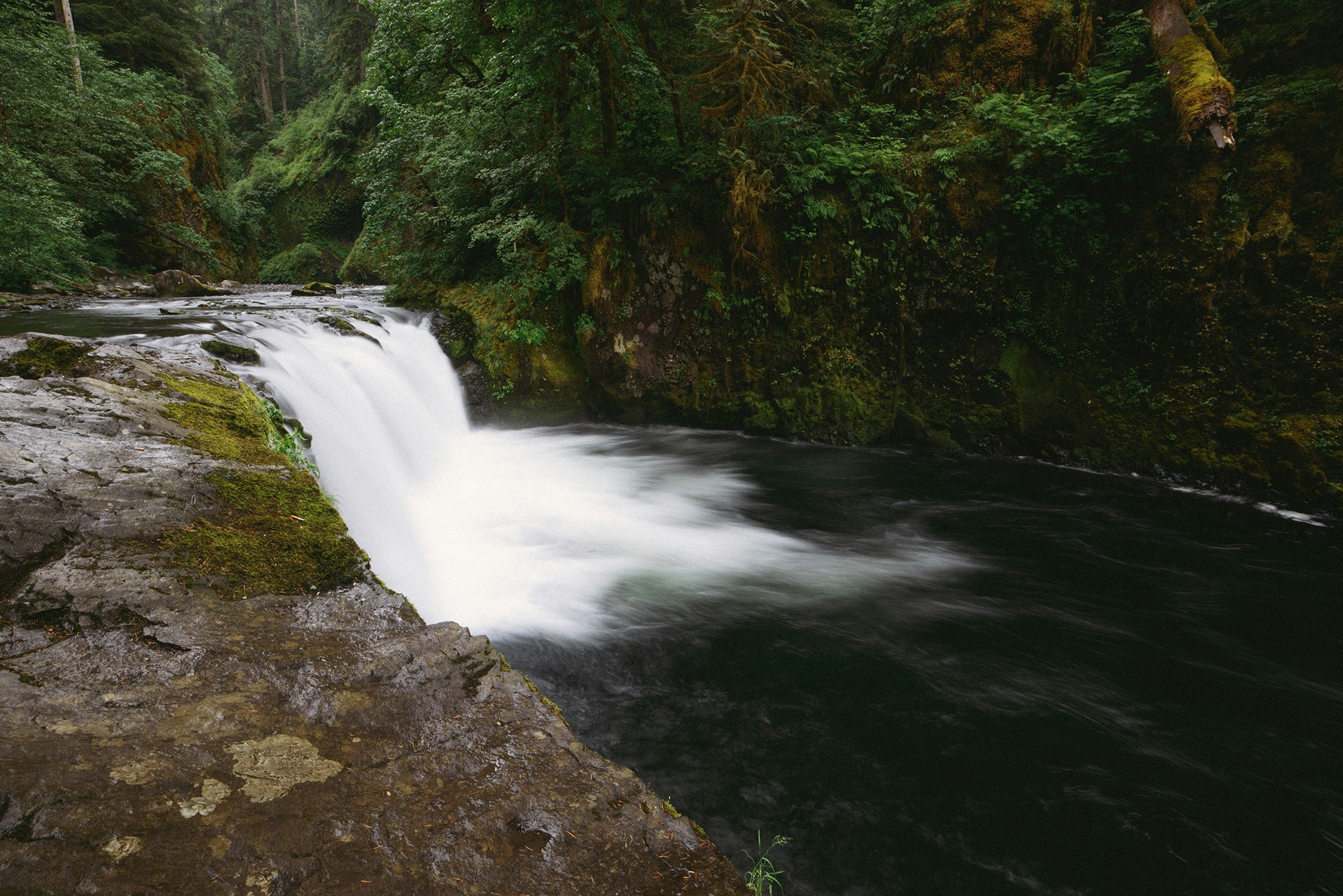 times lapse photography of waterfalls near trees, Small forest waterfall
