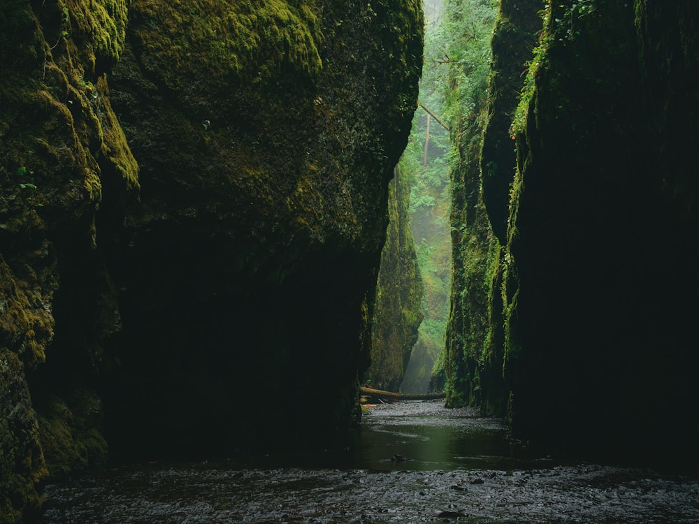 rock formation beside body of water