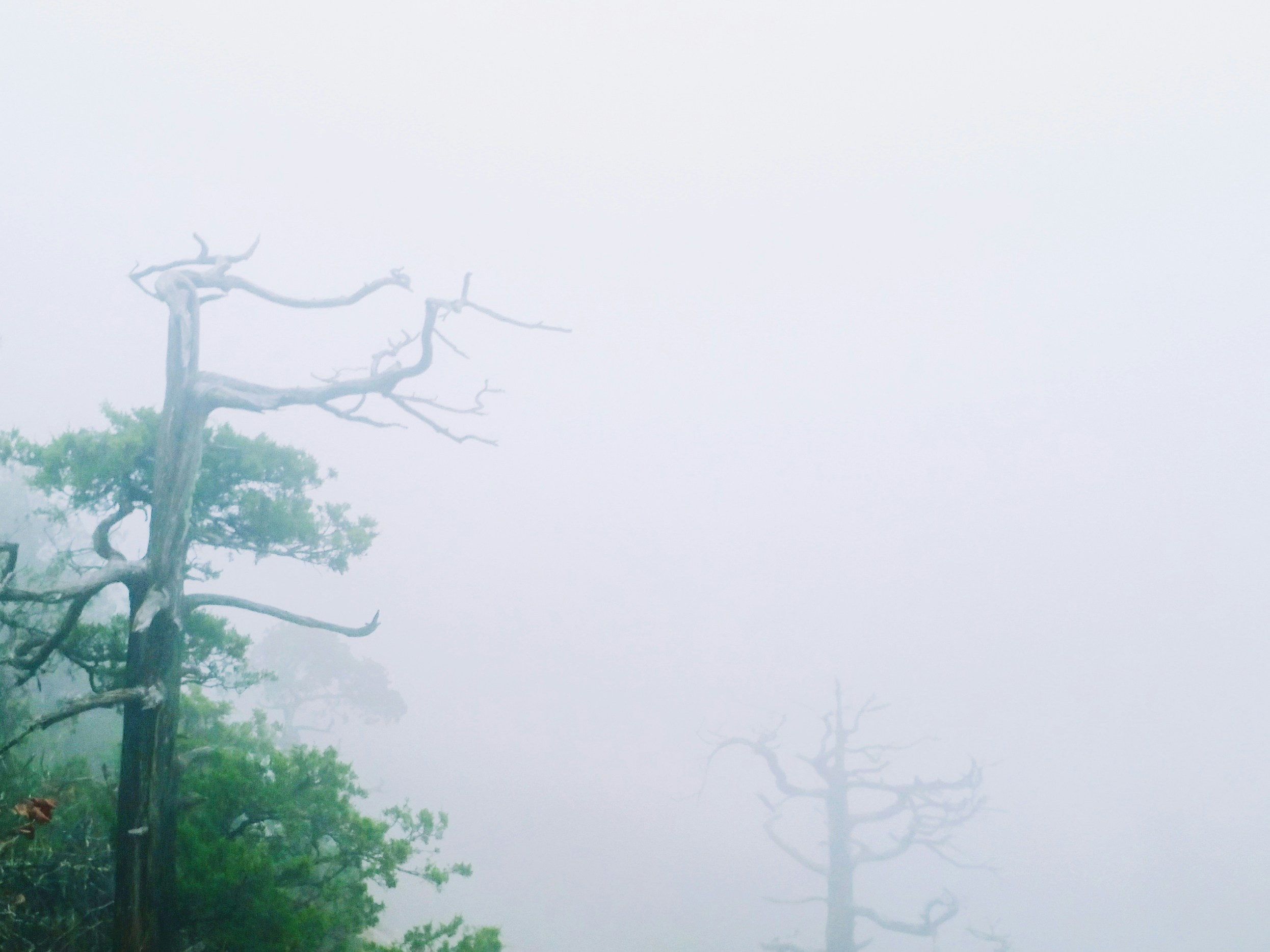 Free Unsplash photo from Yuting Wang