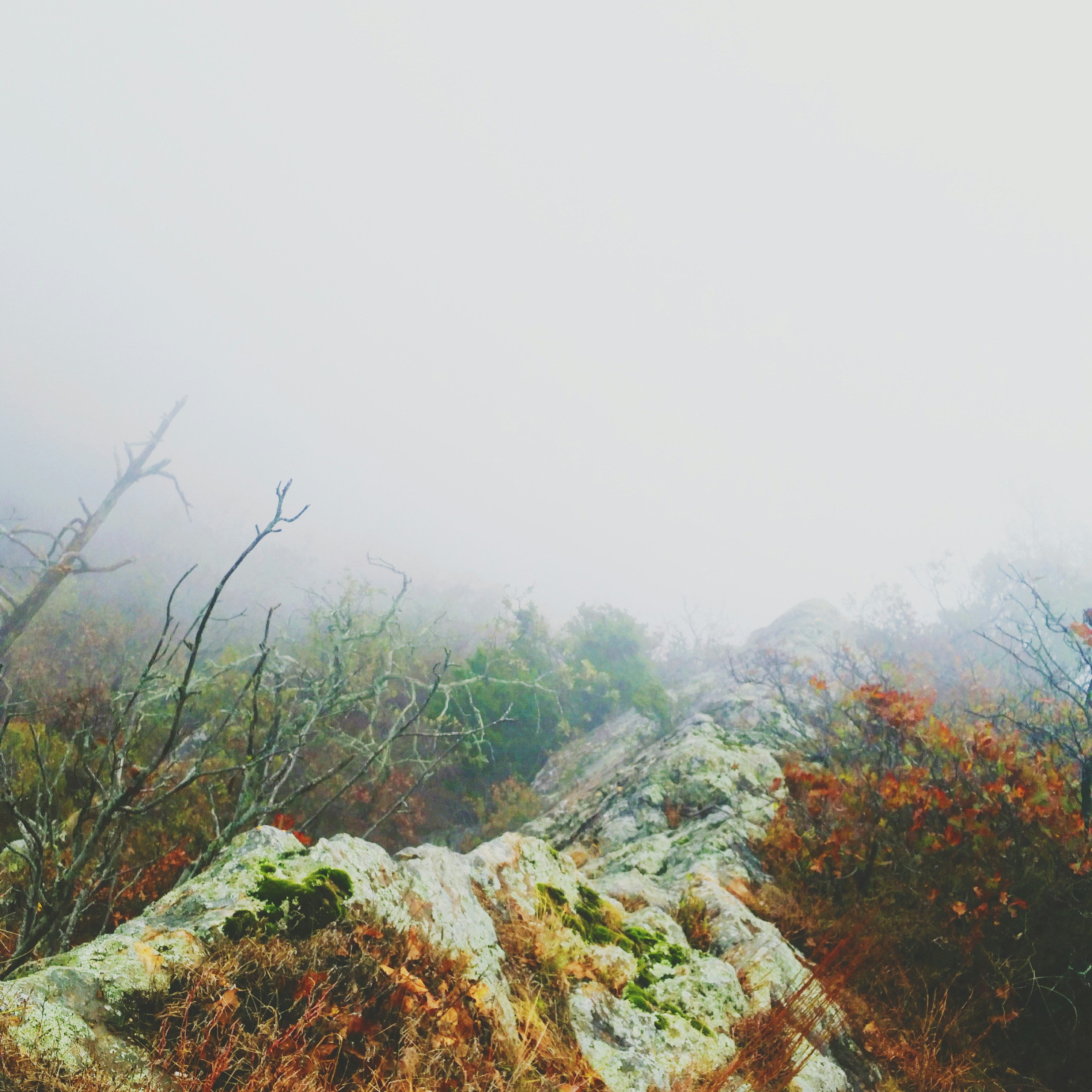 Free Unsplash photo from Yuting Wang