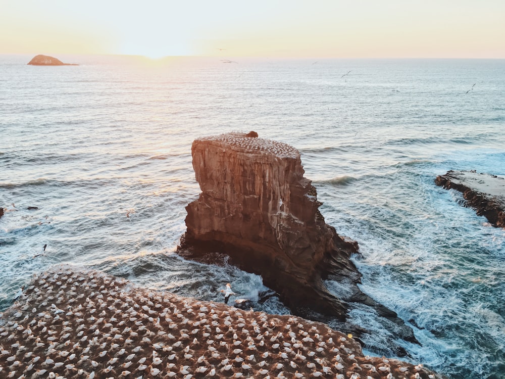 aerial photograph of a rock on body of water