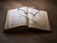 An open book resting on a wooden surface with a pair of reading glasses placed on top, casting a slight shadow across the pages.