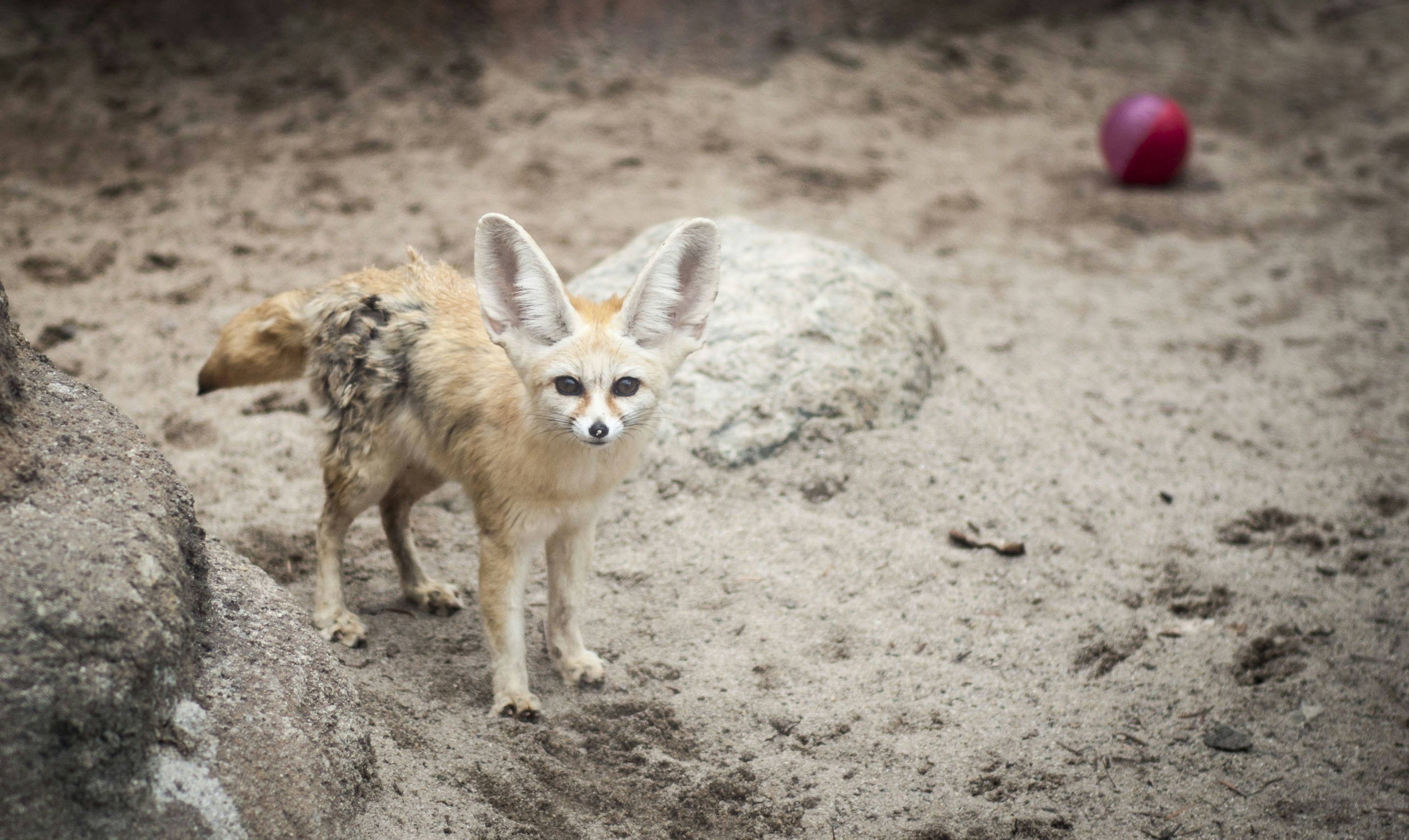 Free Unsplash photo from boram kim