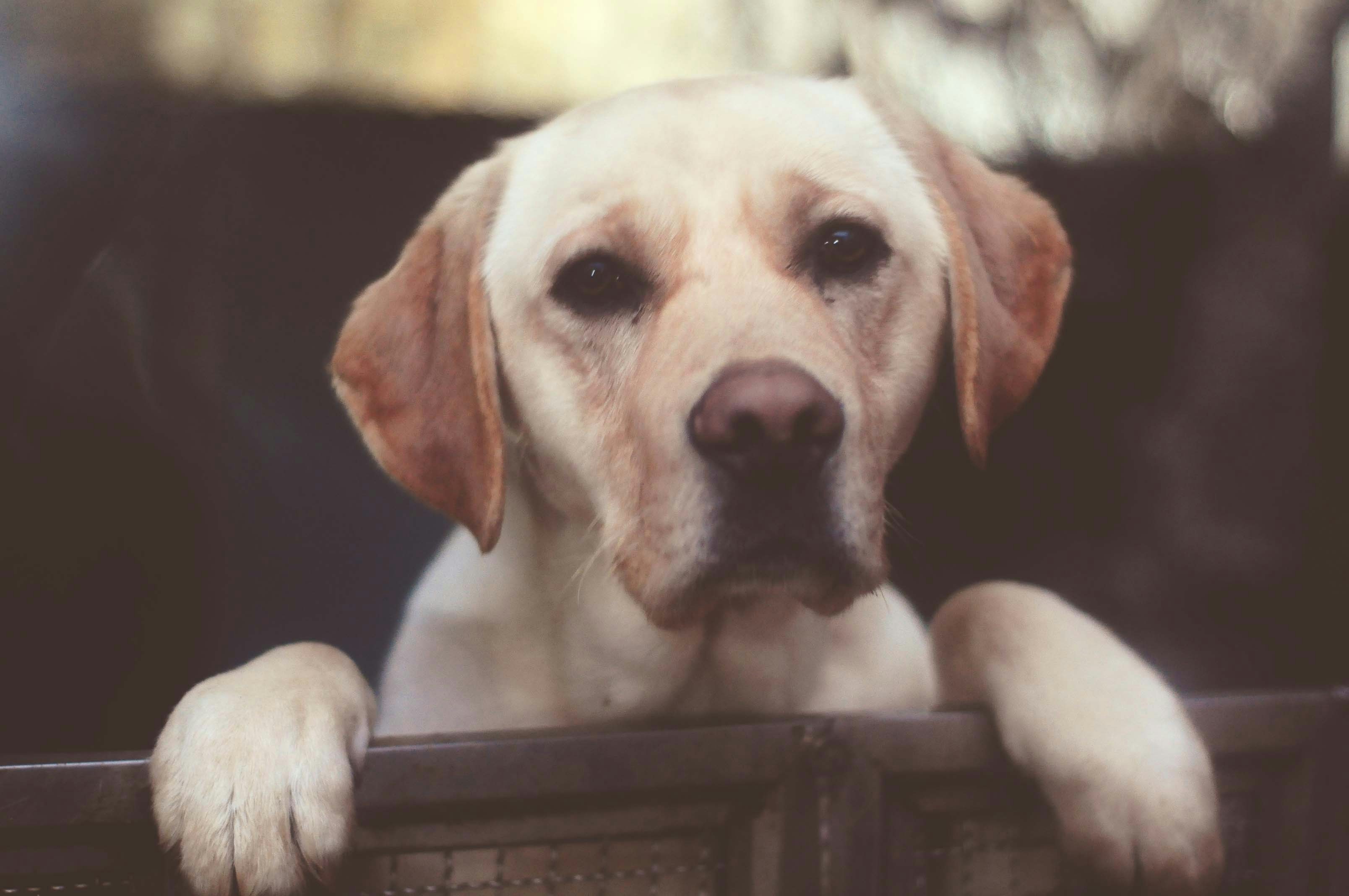 Free Unsplash photo from boram kim