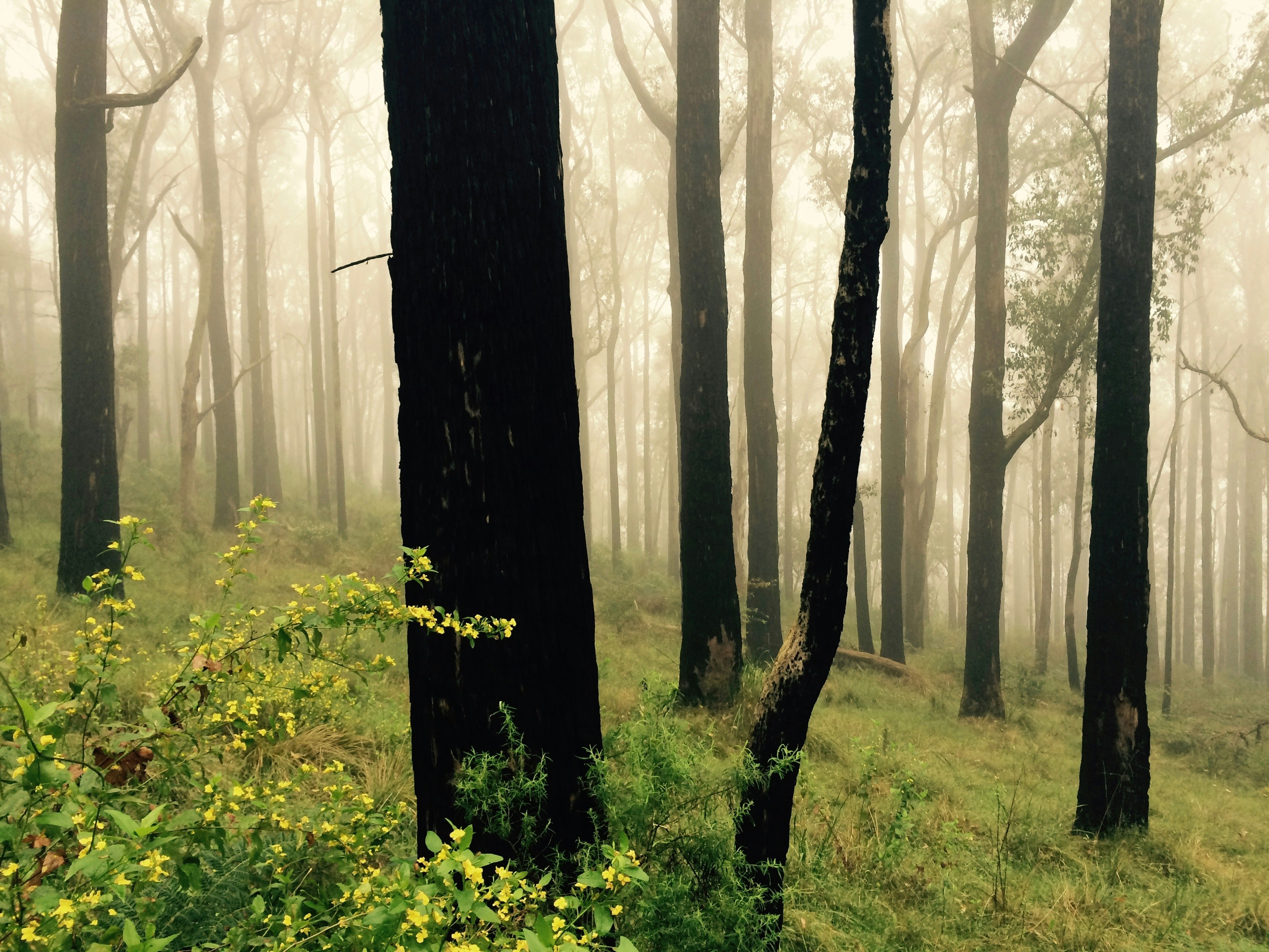 Free Unsplash photo from Tim de Neefe