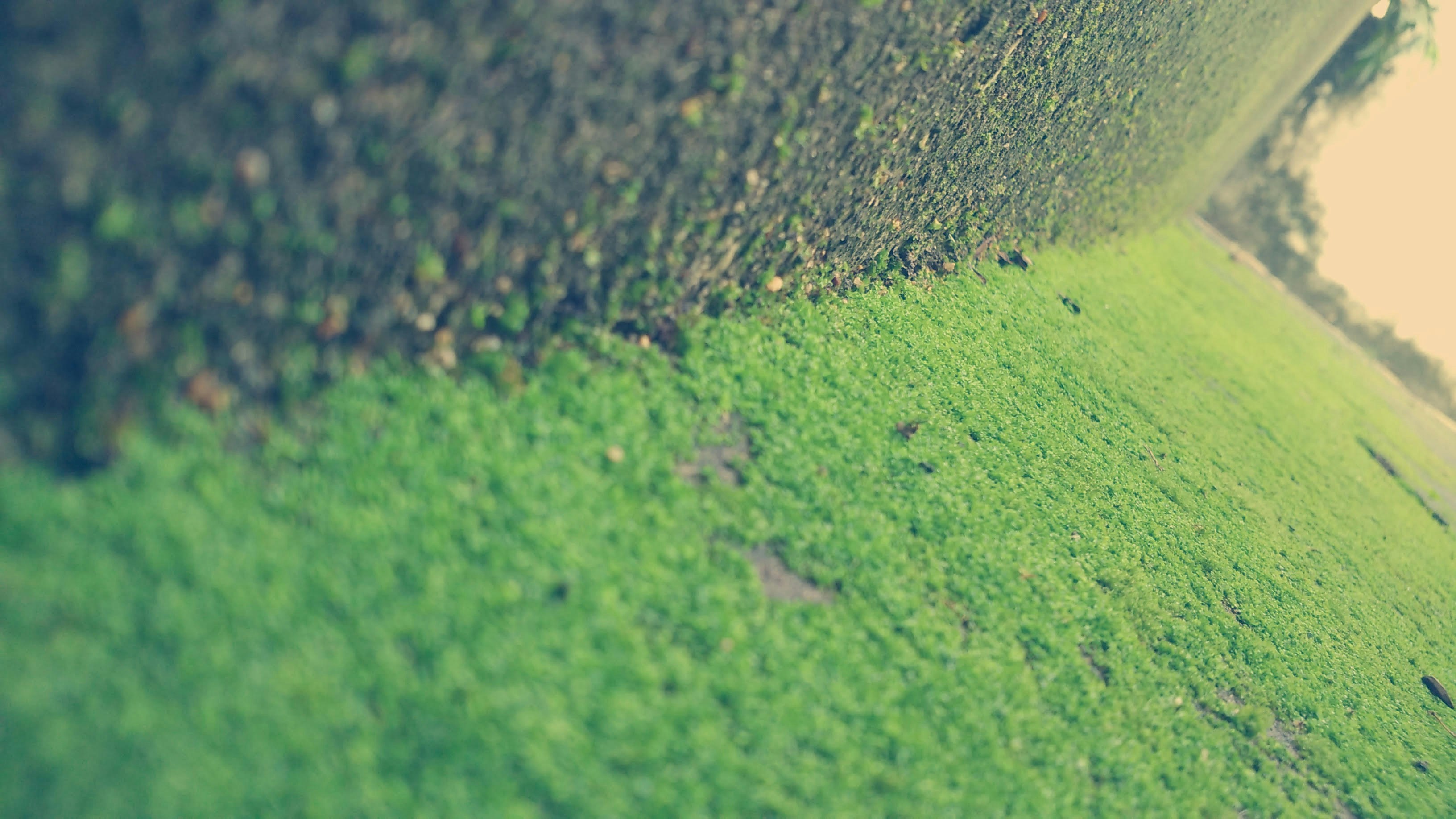 Free Unsplash photo from Joan James