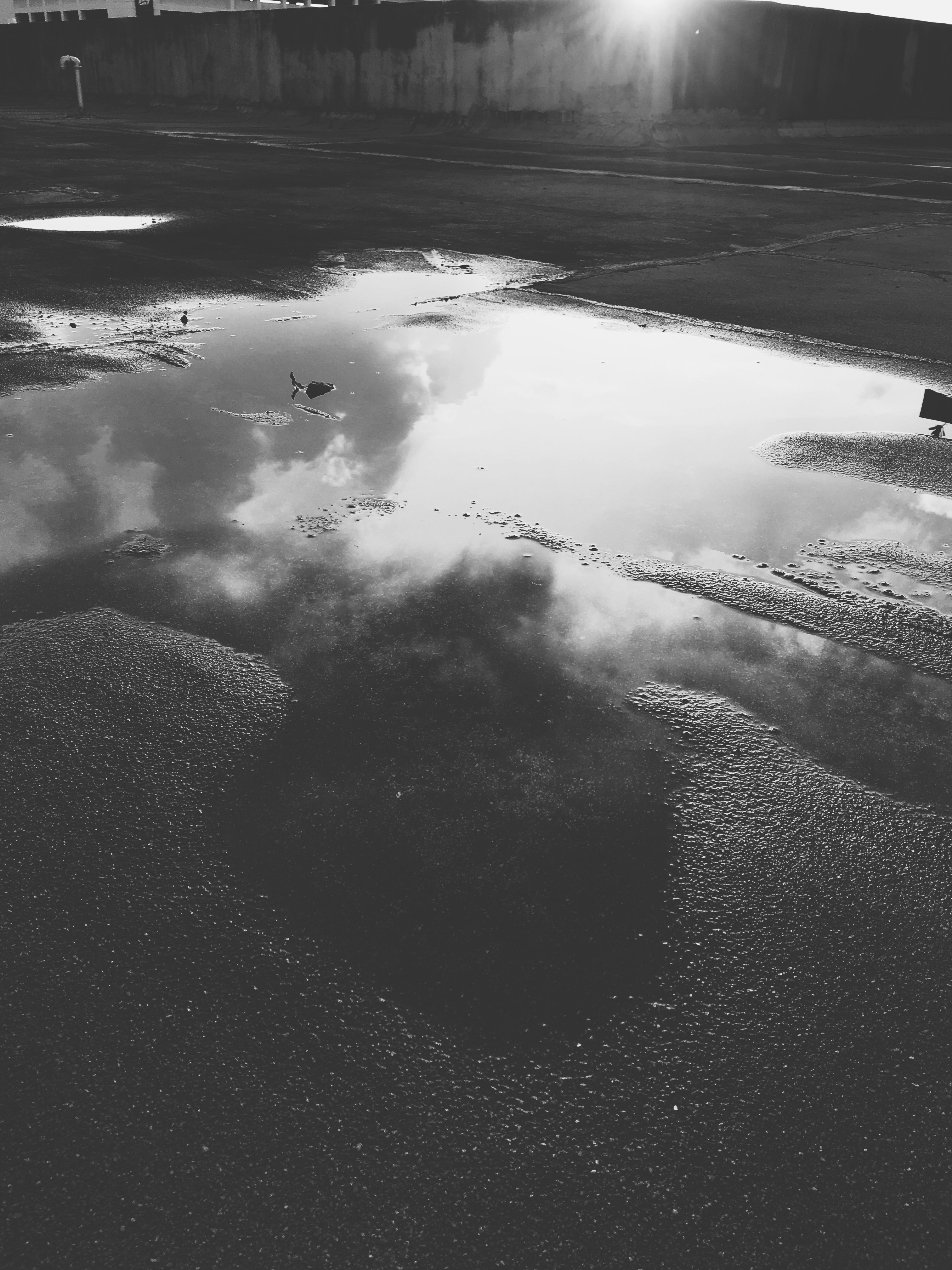 Free Unsplash photo from Pedro Burgos