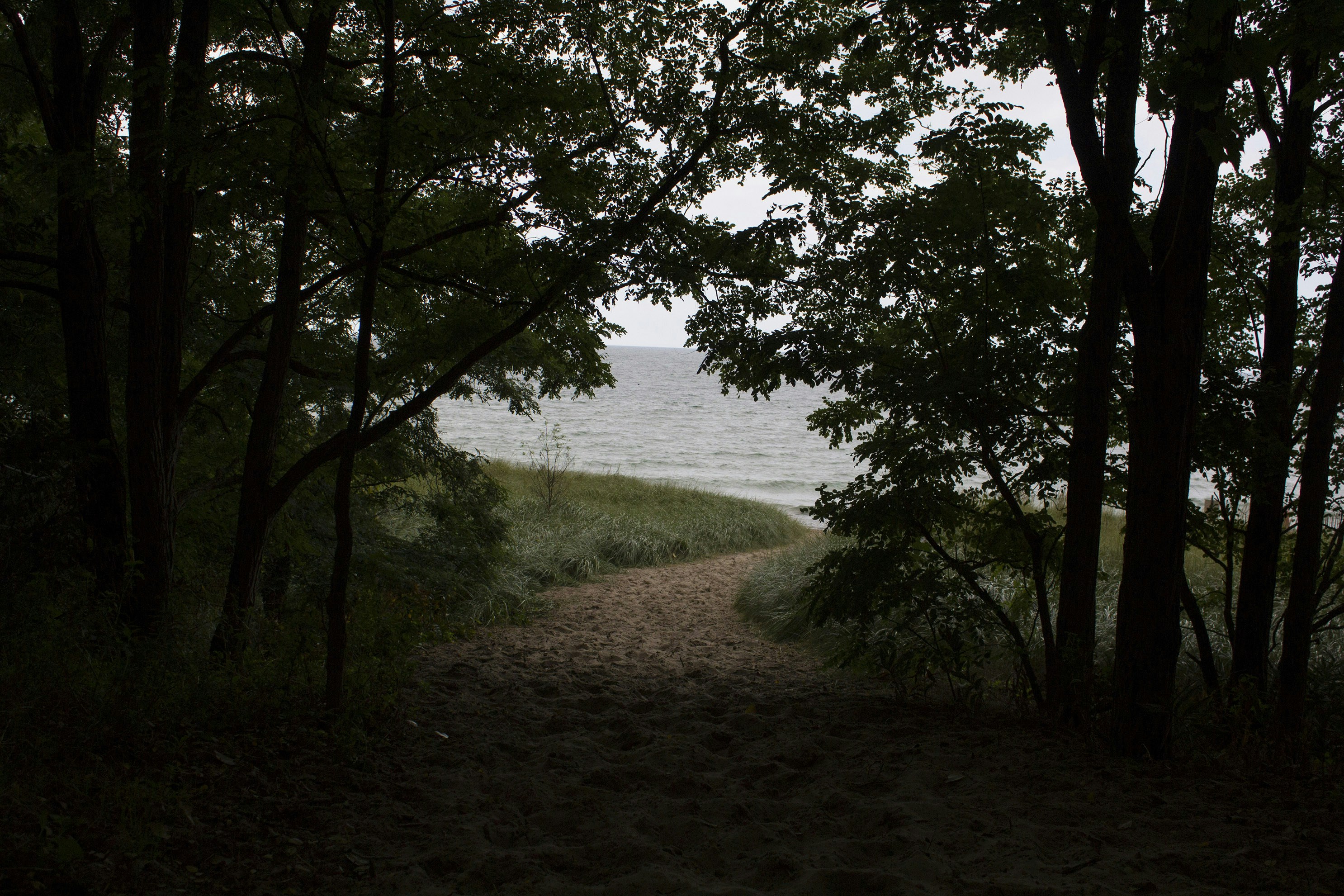 Free Unsplash photo from Rebecca Scarpone