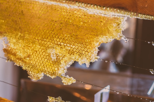 A close-up view of a honeycomb with golden honey glistening under light. The hexagonal pattern of the honeycomb is clearly visible, with droplets of honey hanging from its edges. It is set against a softly blurred background, suggesting a natural, warm environment.