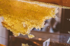 A close-up view of a honeycomb with golden honey glistening under light. The hexagonal pattern of the honeycomb is clearly visible, with droplets of honey hanging from its edges. It is set against a softly blurred background, suggesting a natural, warm environment.