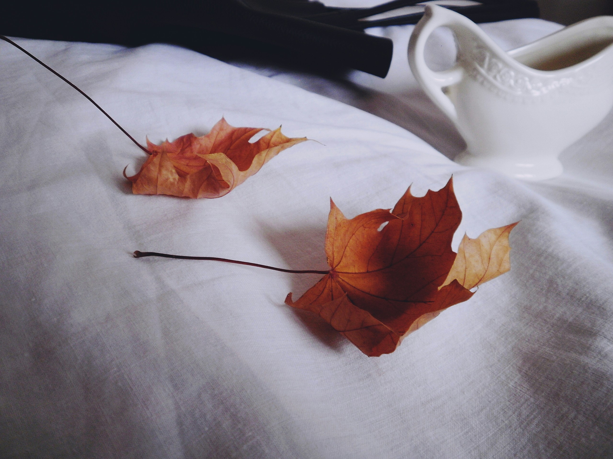 Free Unsplash photo from Kata Osto