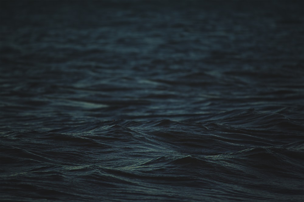 Fotografía de paisaje de cuerpo de agua