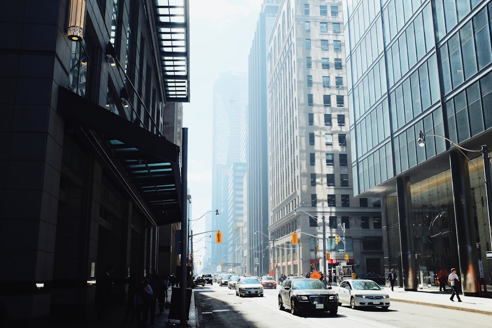 high rise buildings during daytime