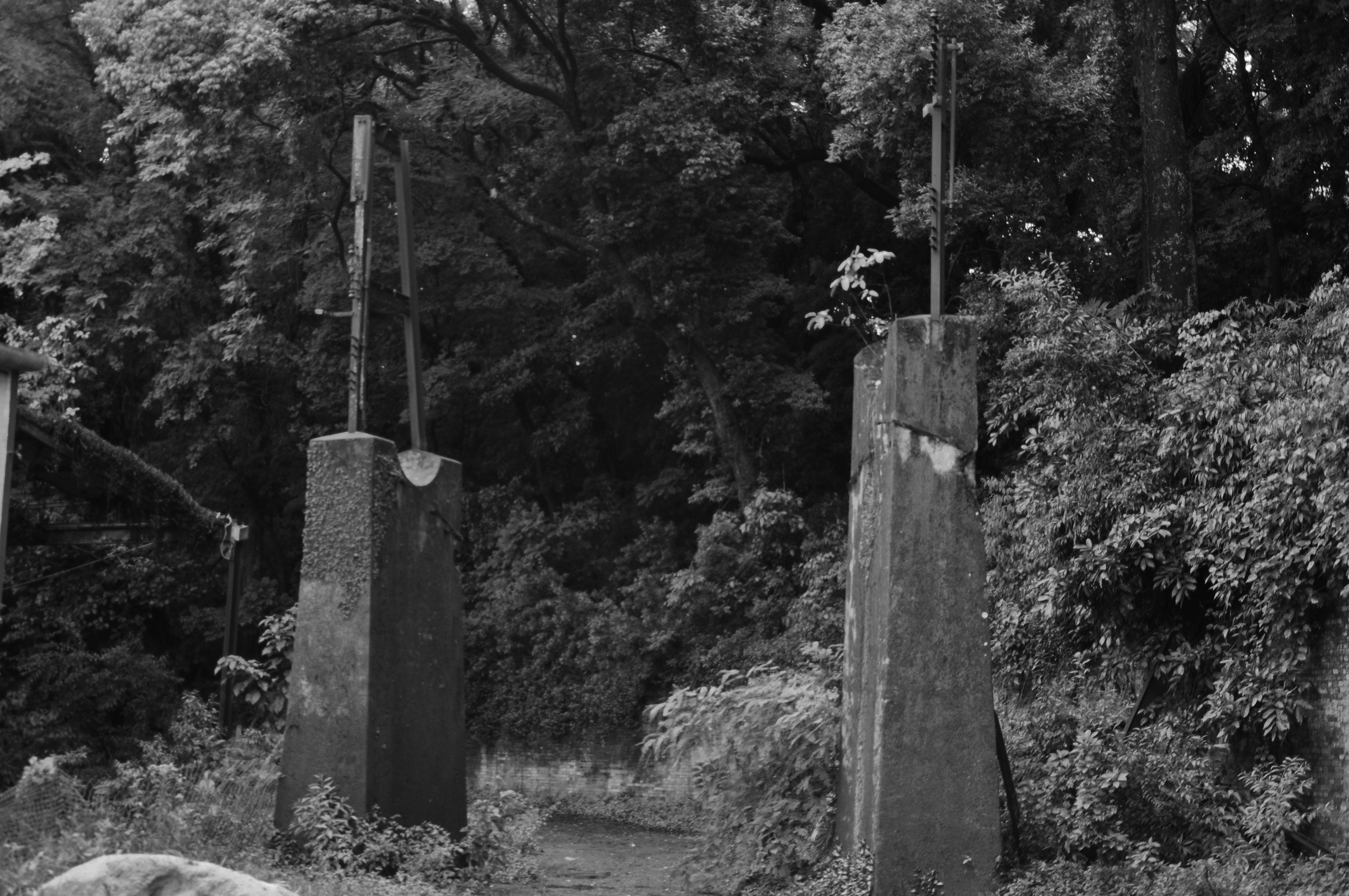 Free Unsplash photo from Thiago Tolesani