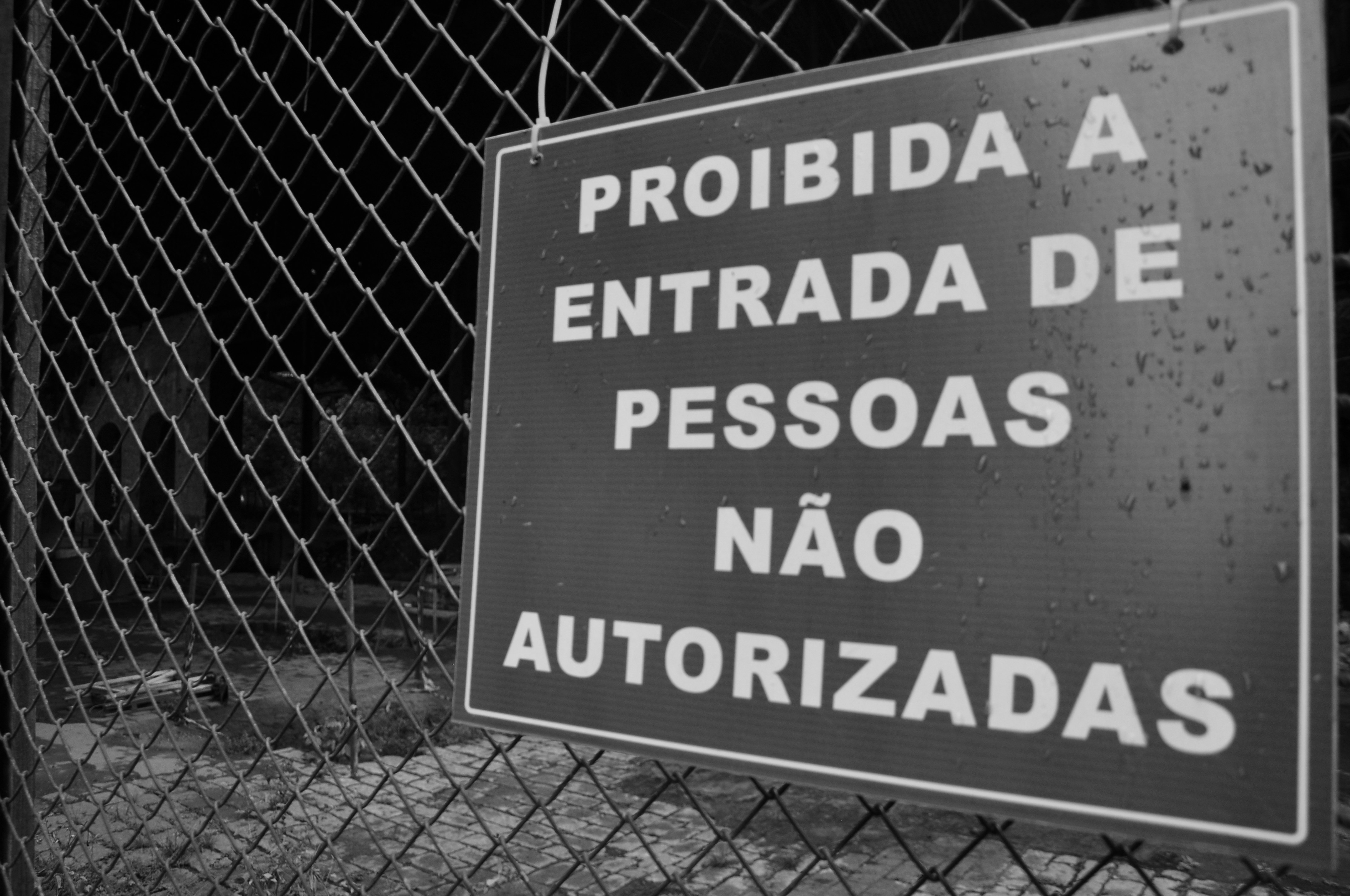 Free Unsplash photo from Thiago Tolesani