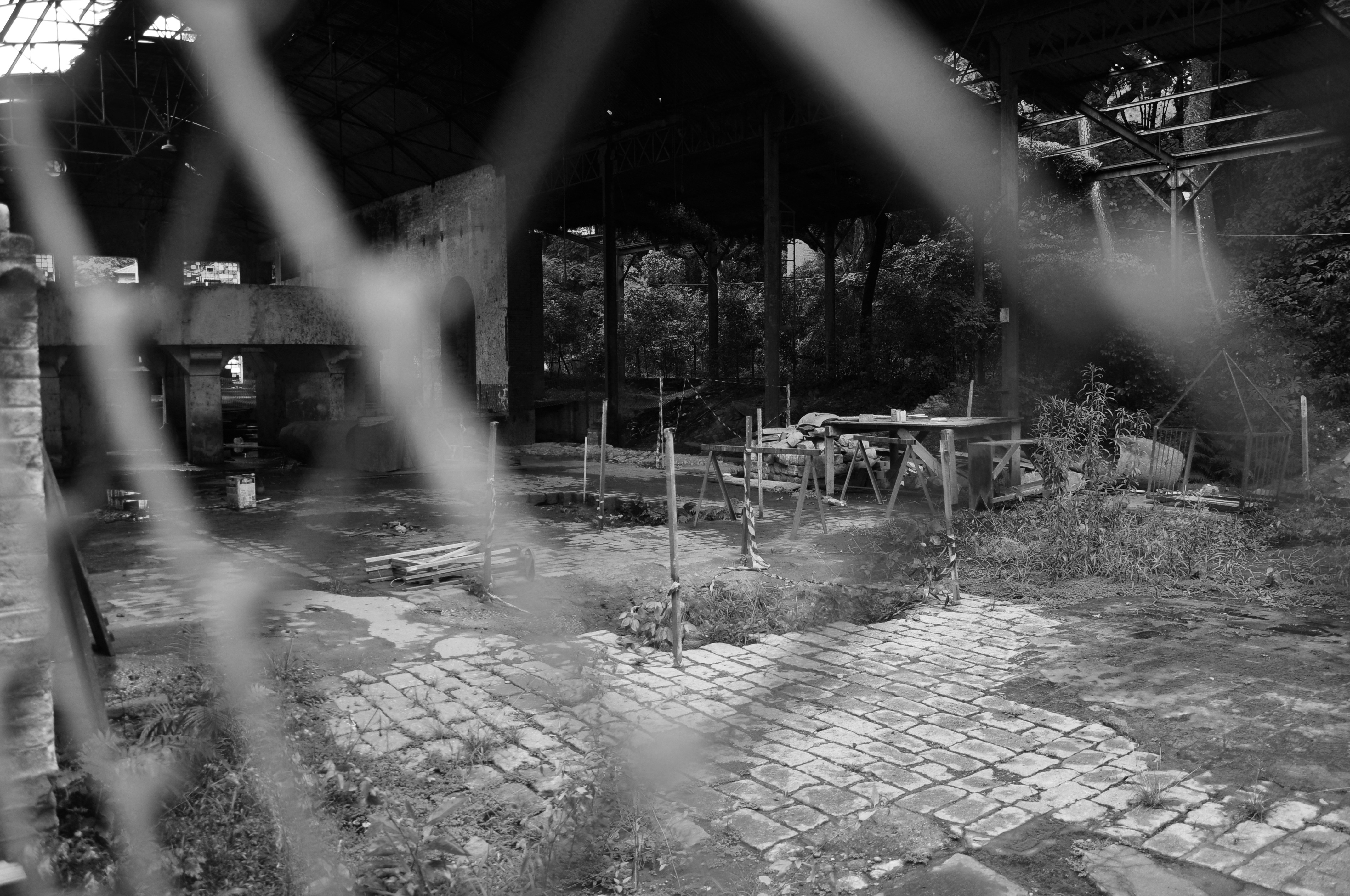 Free Unsplash photo from Thiago Tolesani