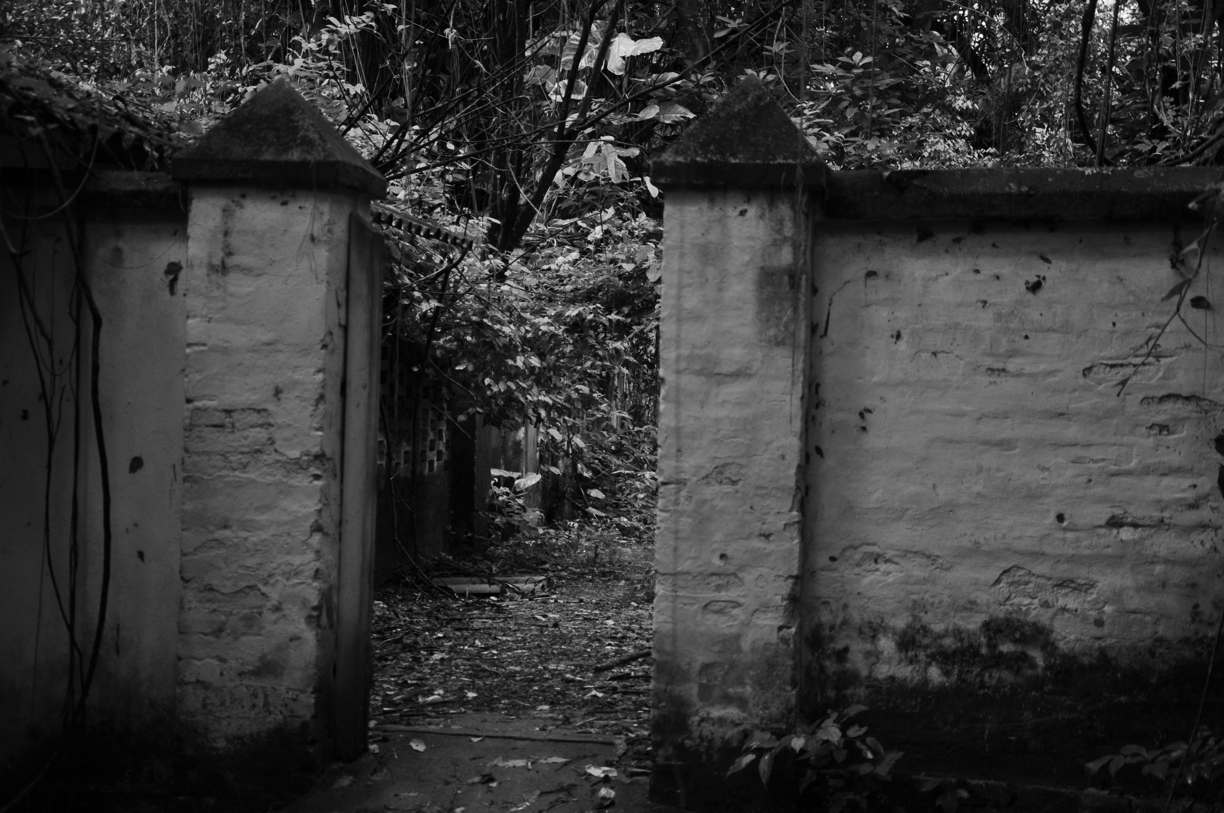 Free Unsplash photo from Thiago Tolesani