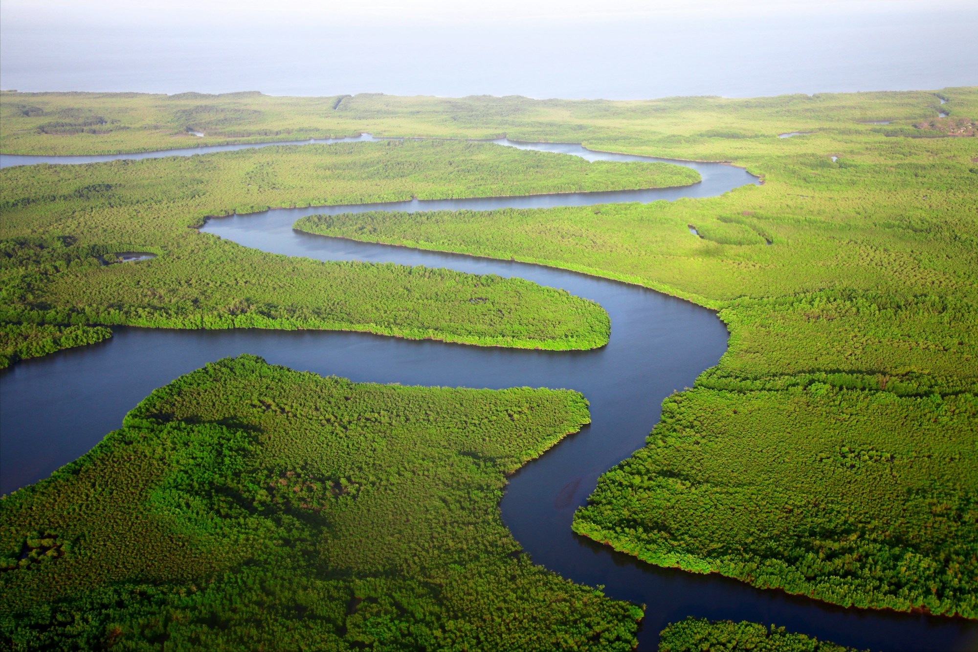 Explore Gambia: A Complete Travel Guide