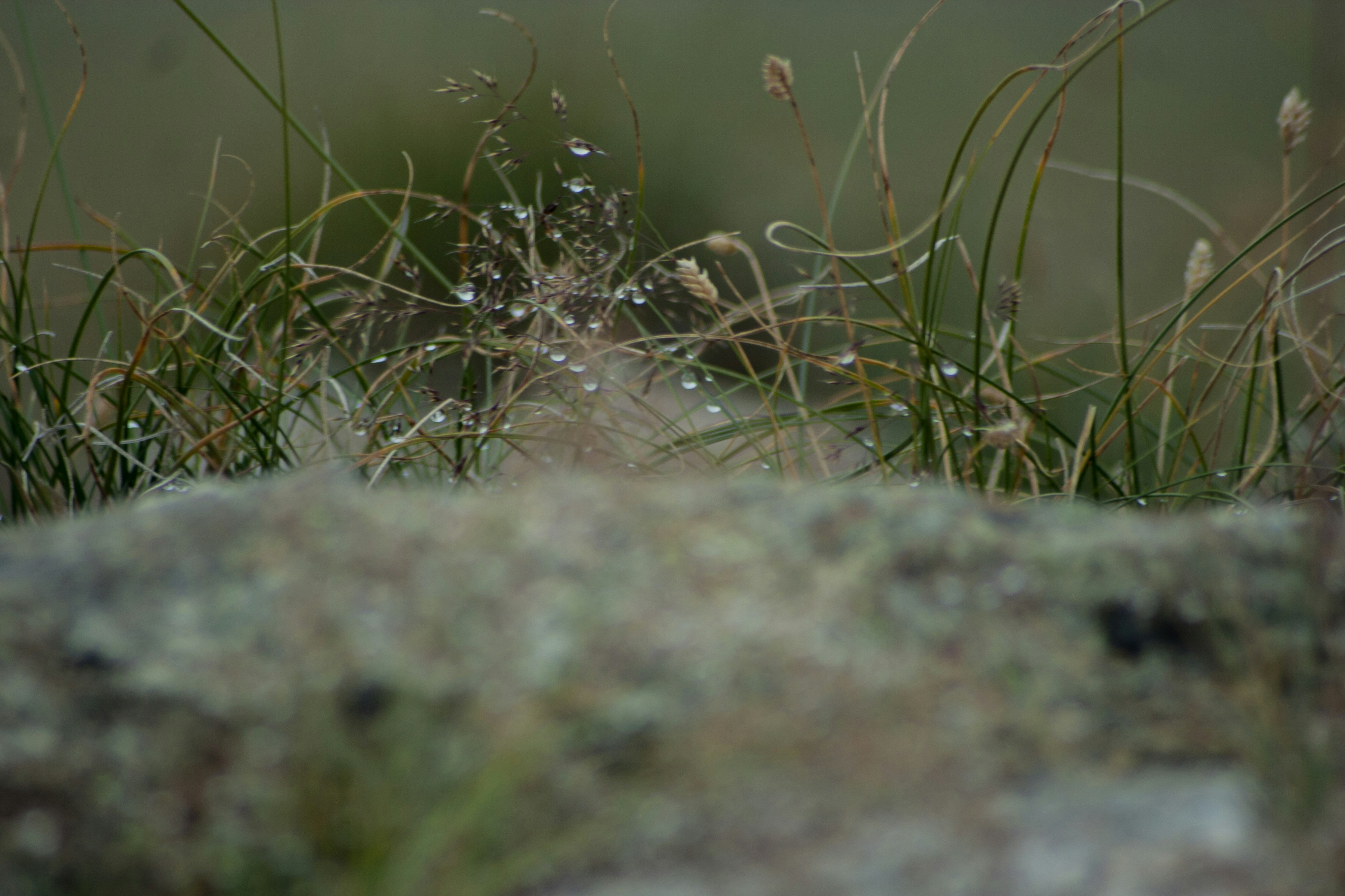 Free Unsplash photo from Andreas Kahlhöfer