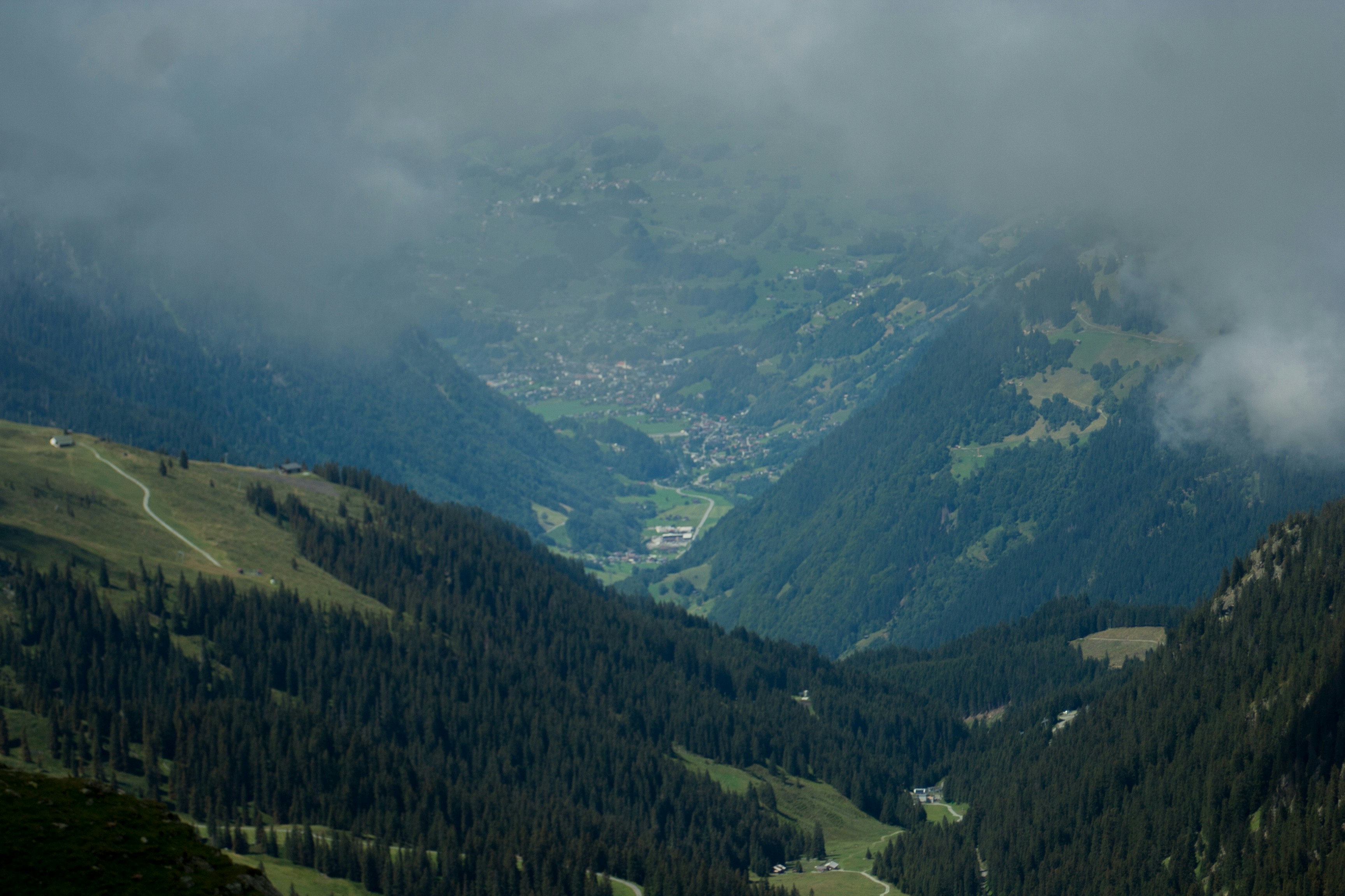 Free Unsplash photo from Andreas Kahlhöfer