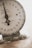 An old mechanical weighing scale with a rustic appearance. The dial has numbers from 0 to 23 and the text 'American Family Scale' printed on it. The base shows signs of wear with chipped paint and a greenish hue.