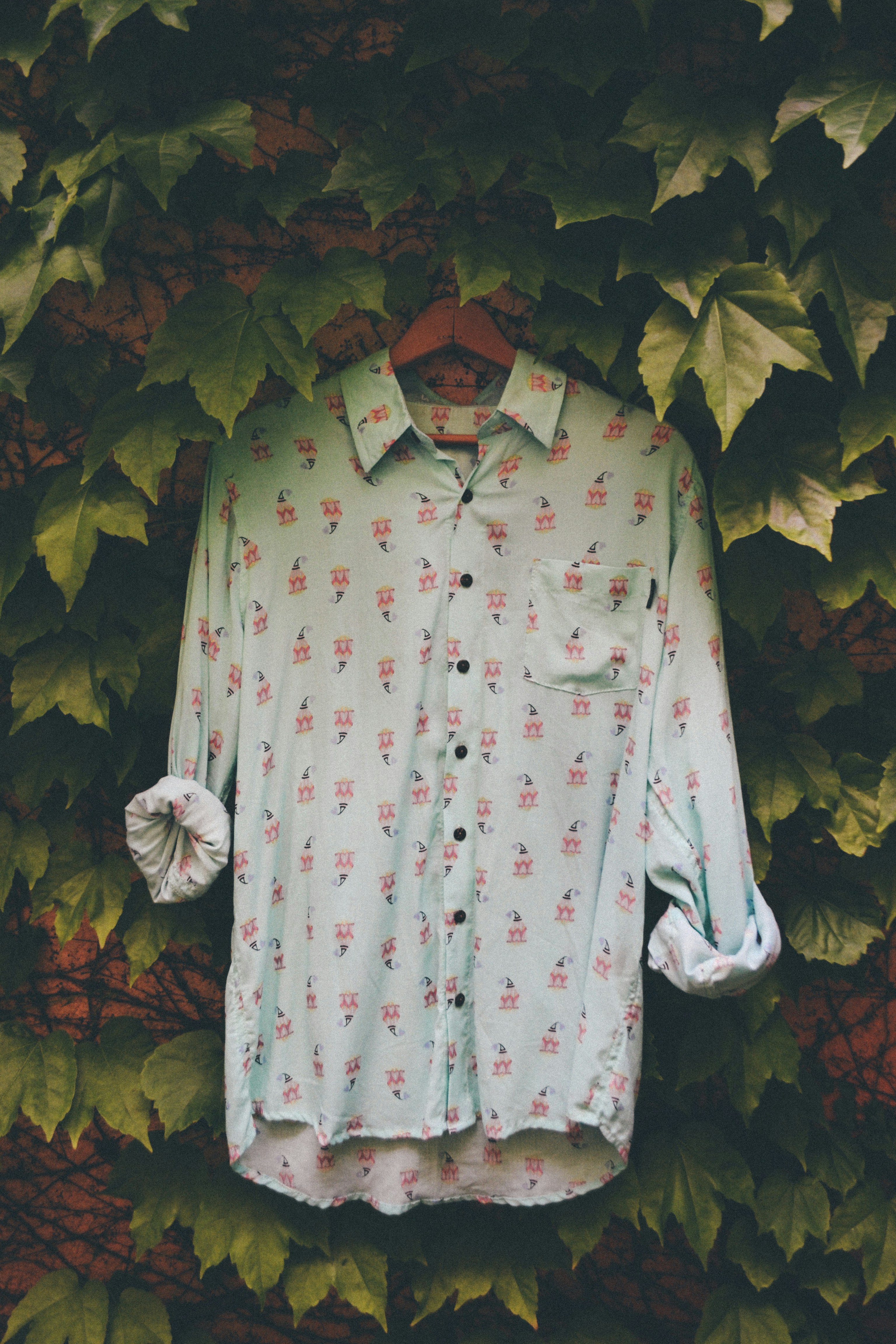 Free Unsplash photo from Felipe Benoit Photography