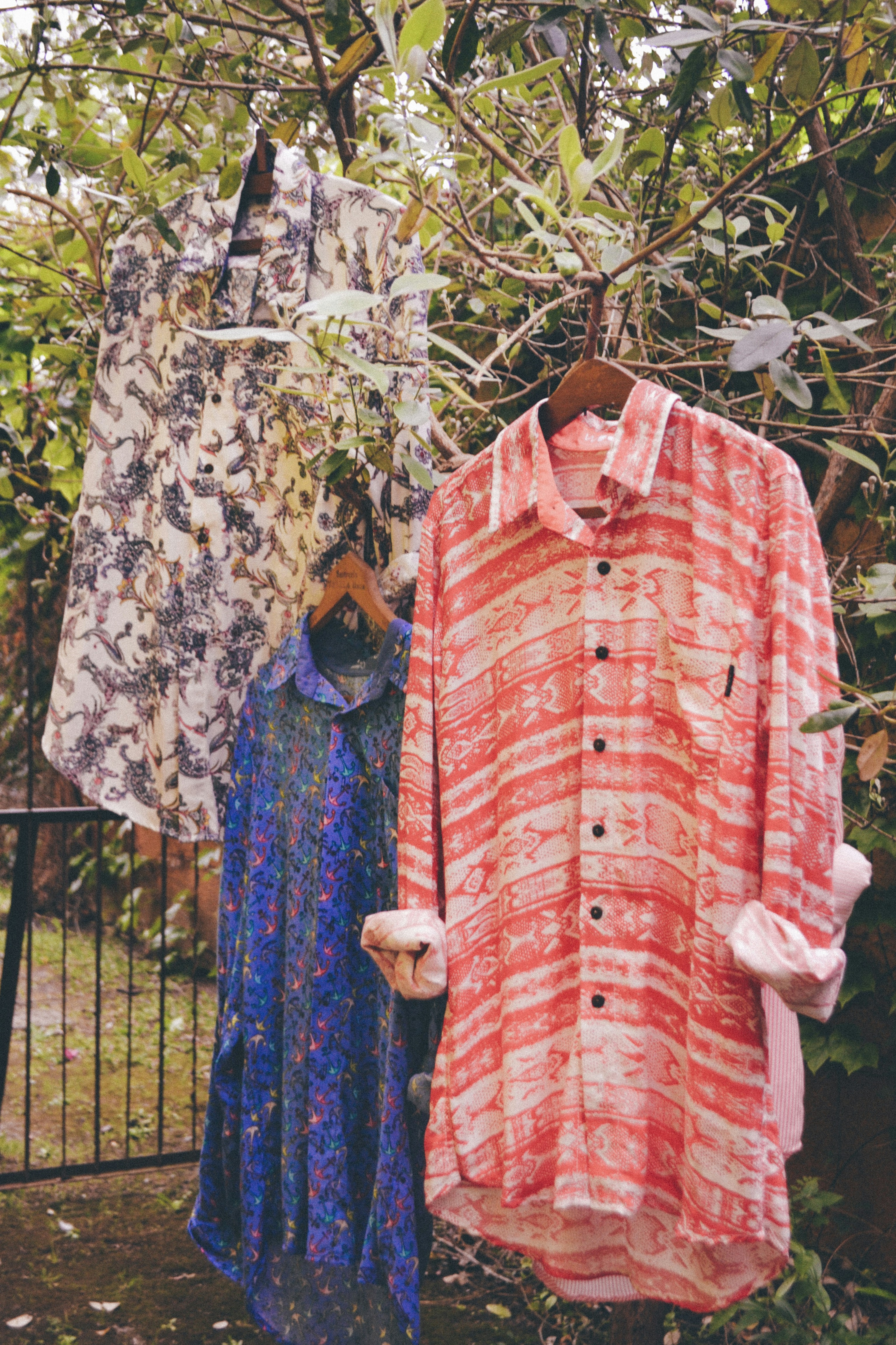 Free Unsplash photo from Felipe Benoit Photography