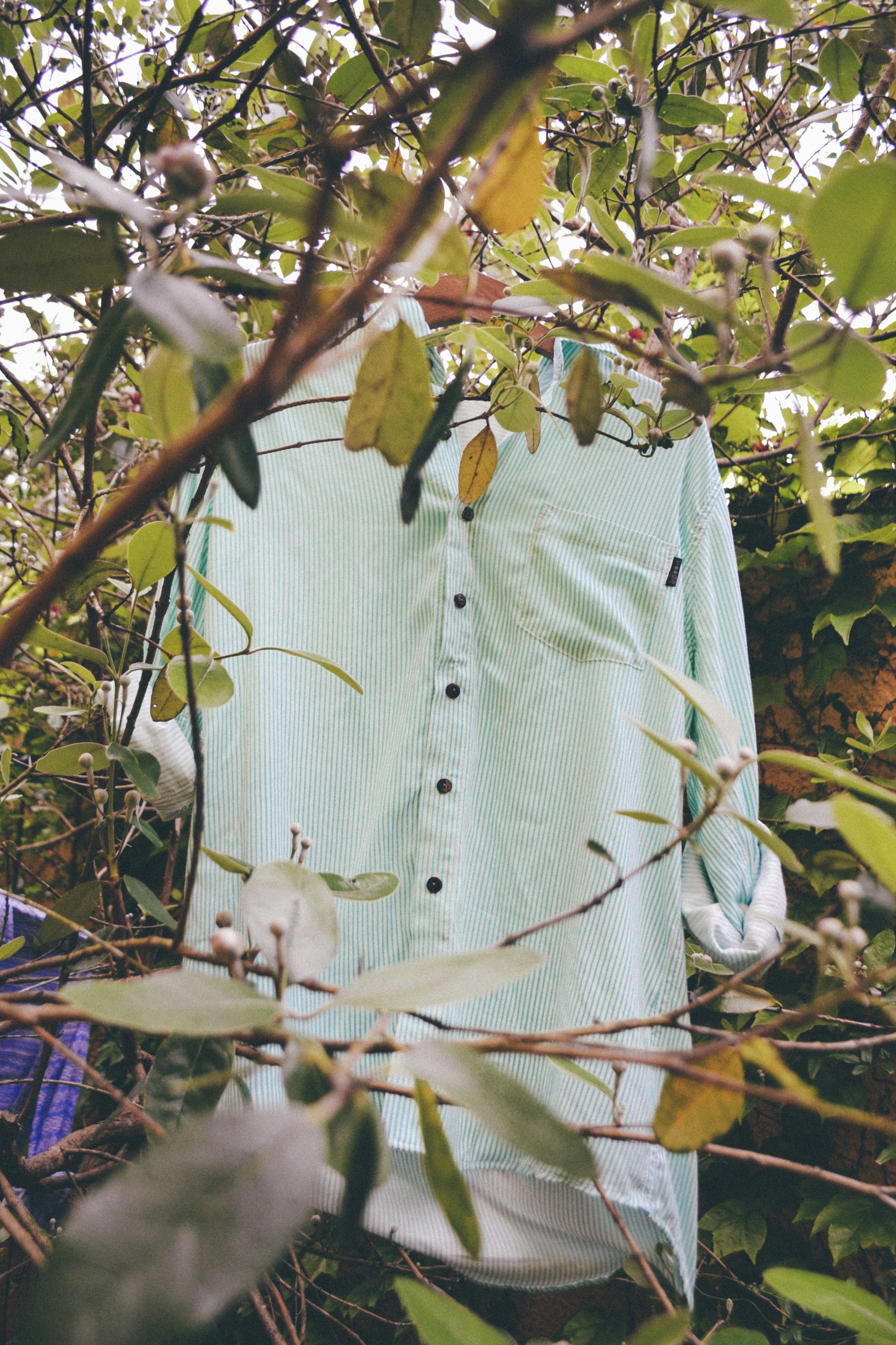 Free Unsplash photo from Felipe Benoit Photography