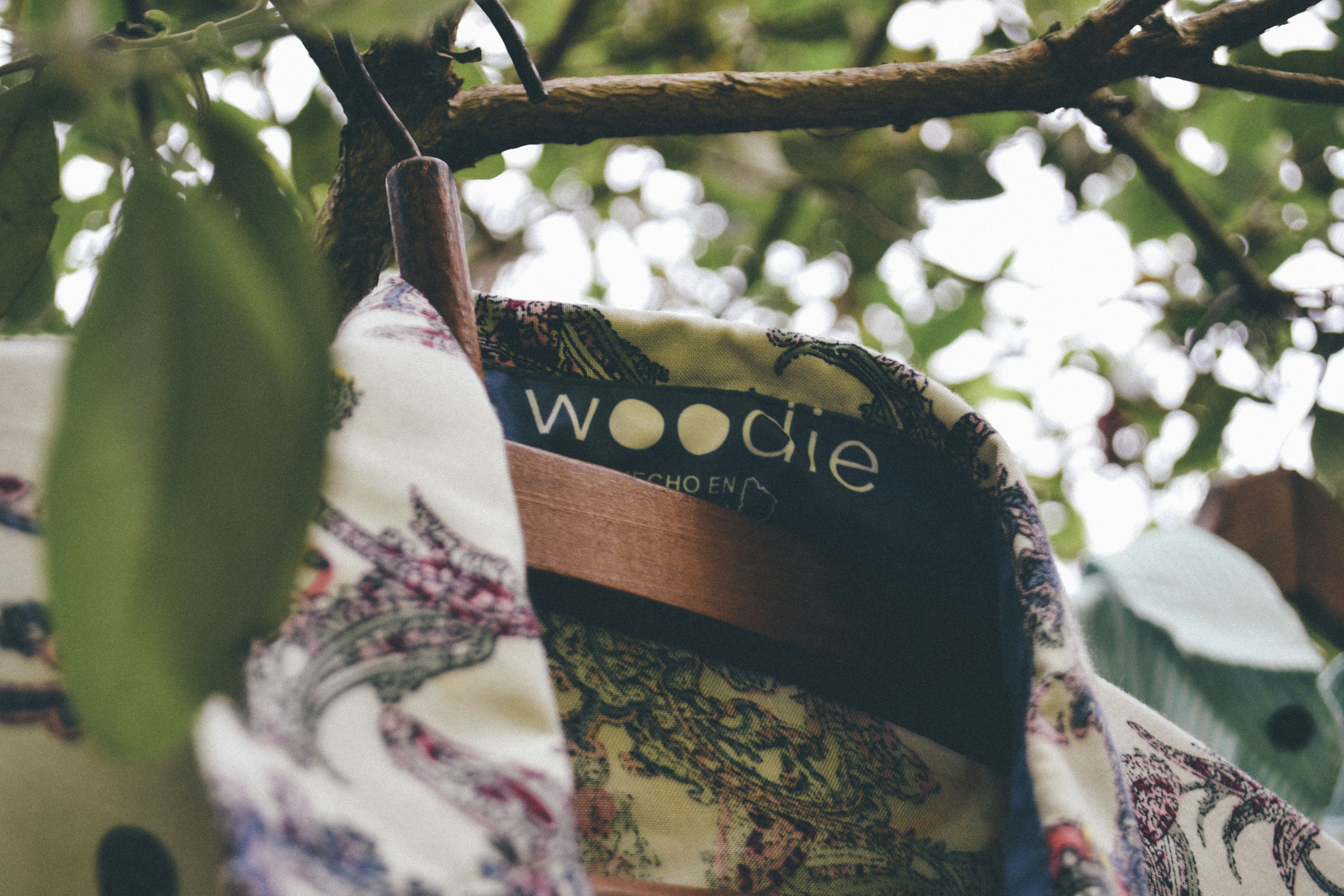 Free Unsplash photo from Felipe Benoit Photography