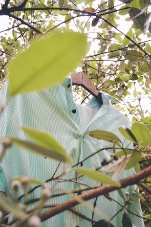A green striped shirt hangs on a wooden hanger amidst branches with leaves surrounding it. The view is slightly obscured by the foliage, creating a natural, serene setting.