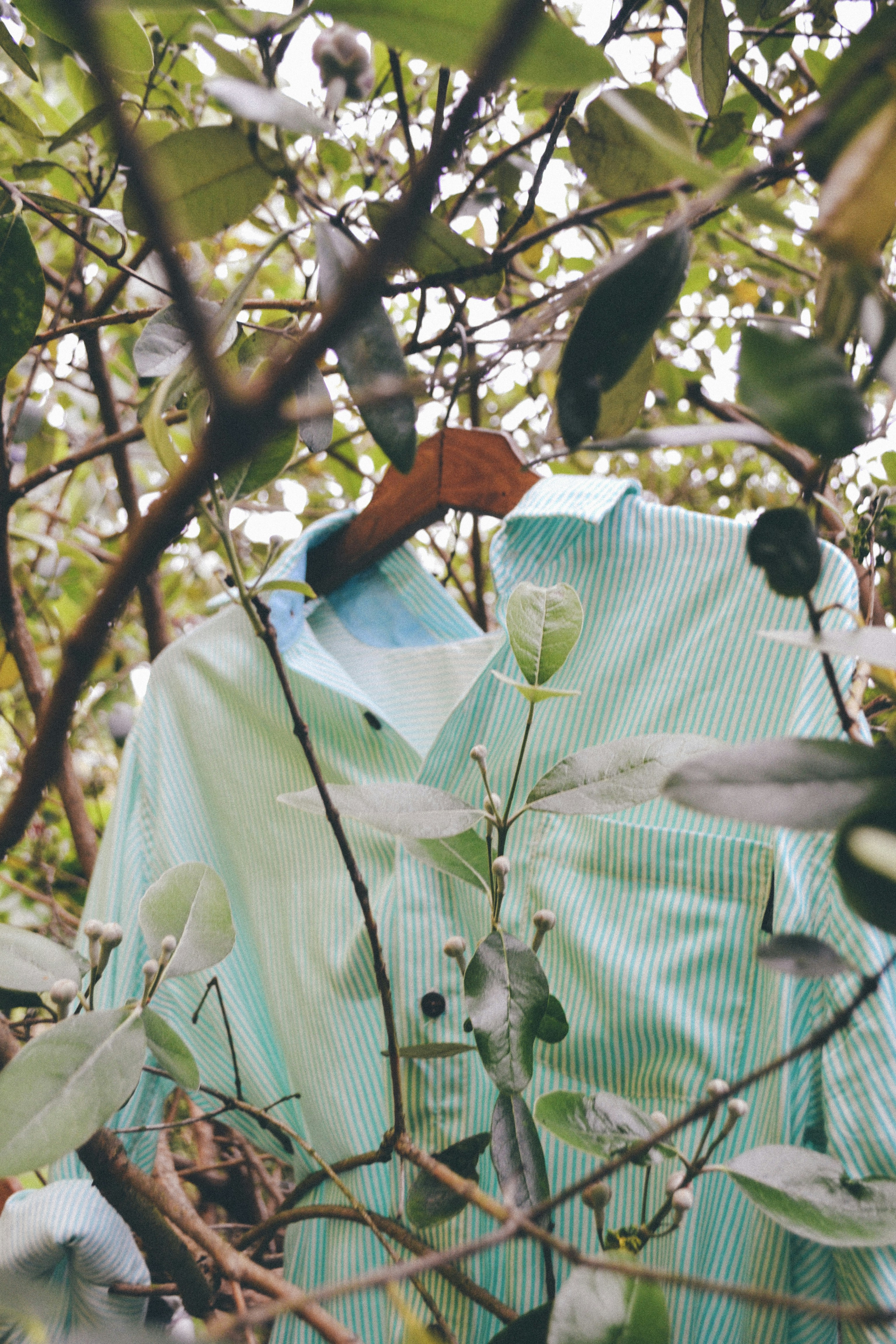 Free Unsplash photo from Felipe Benoit Photography