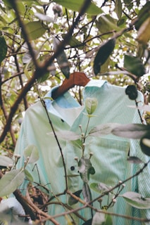 A striped shirt in shades of green and blue hangs on a wooden hanger among dense green foliage. The branches and leaves partially obscure the shirt, creating a blend of fabric and nature.