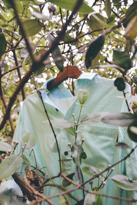 A stylish olive green overshirt displayed on a hanger against a neutral background