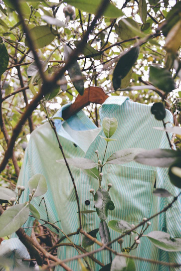 Close-up of a soft cotton t-shirt with a vibrant forest-inspired print hanging on a wooden hanger.