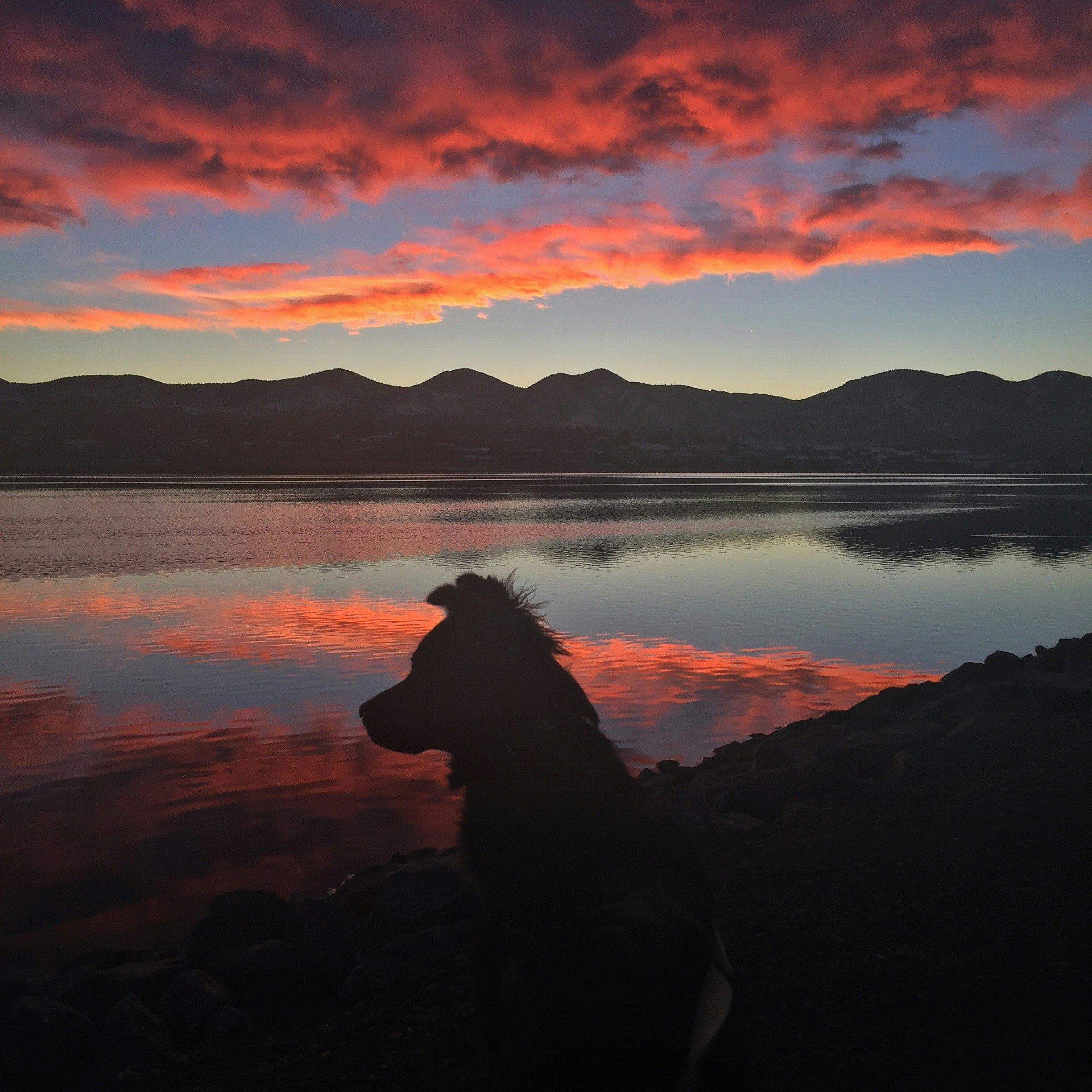 Free Unsplash photo from Kimberly Harmon