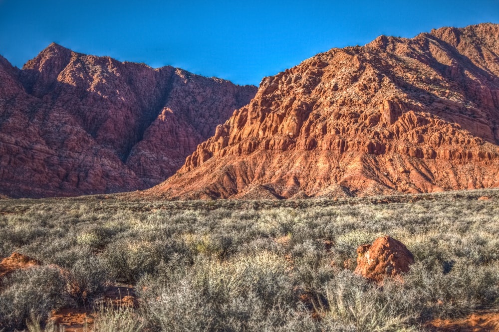 landsacpe photo of brown mountains