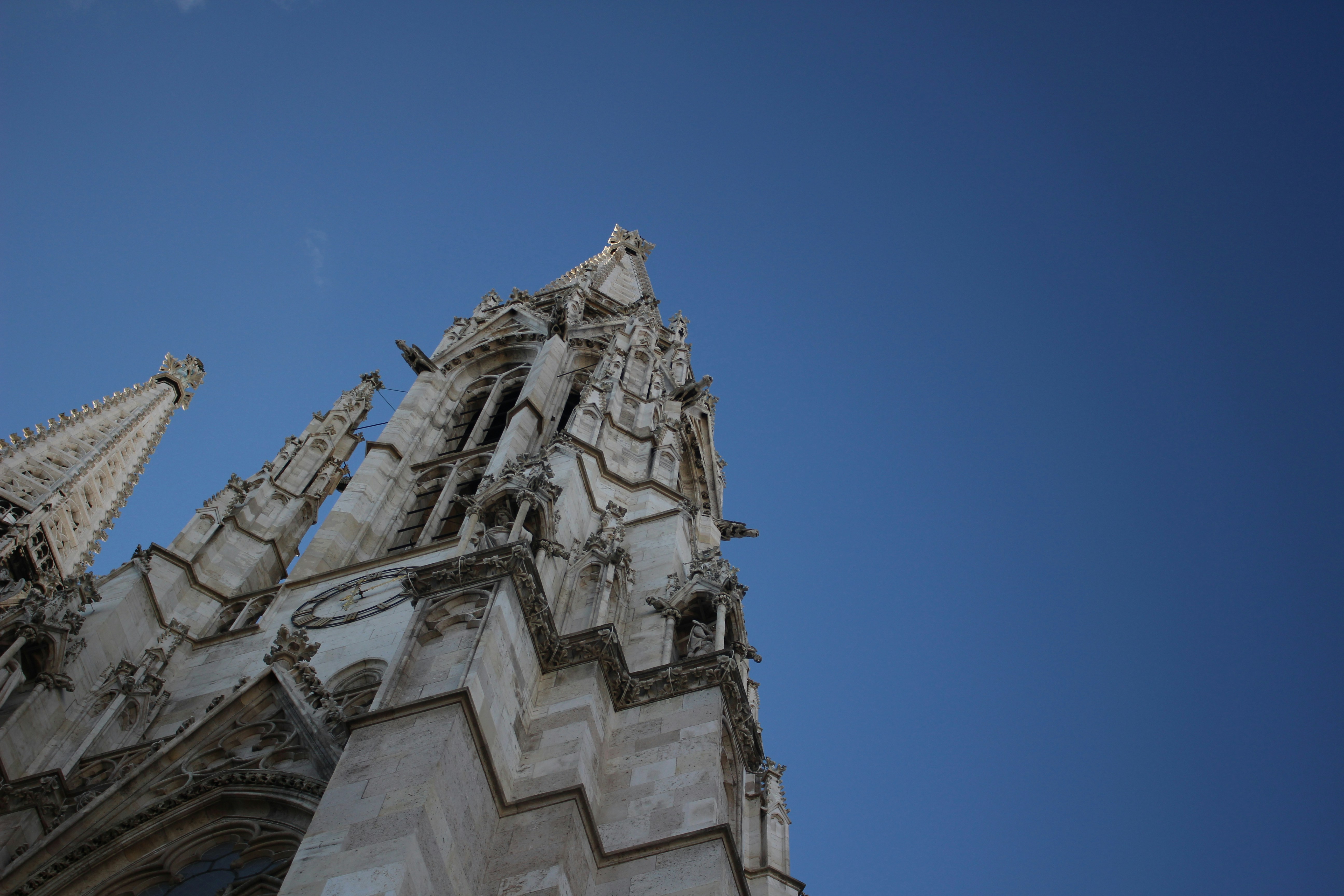 Free Unsplash photo from Noah Feldman