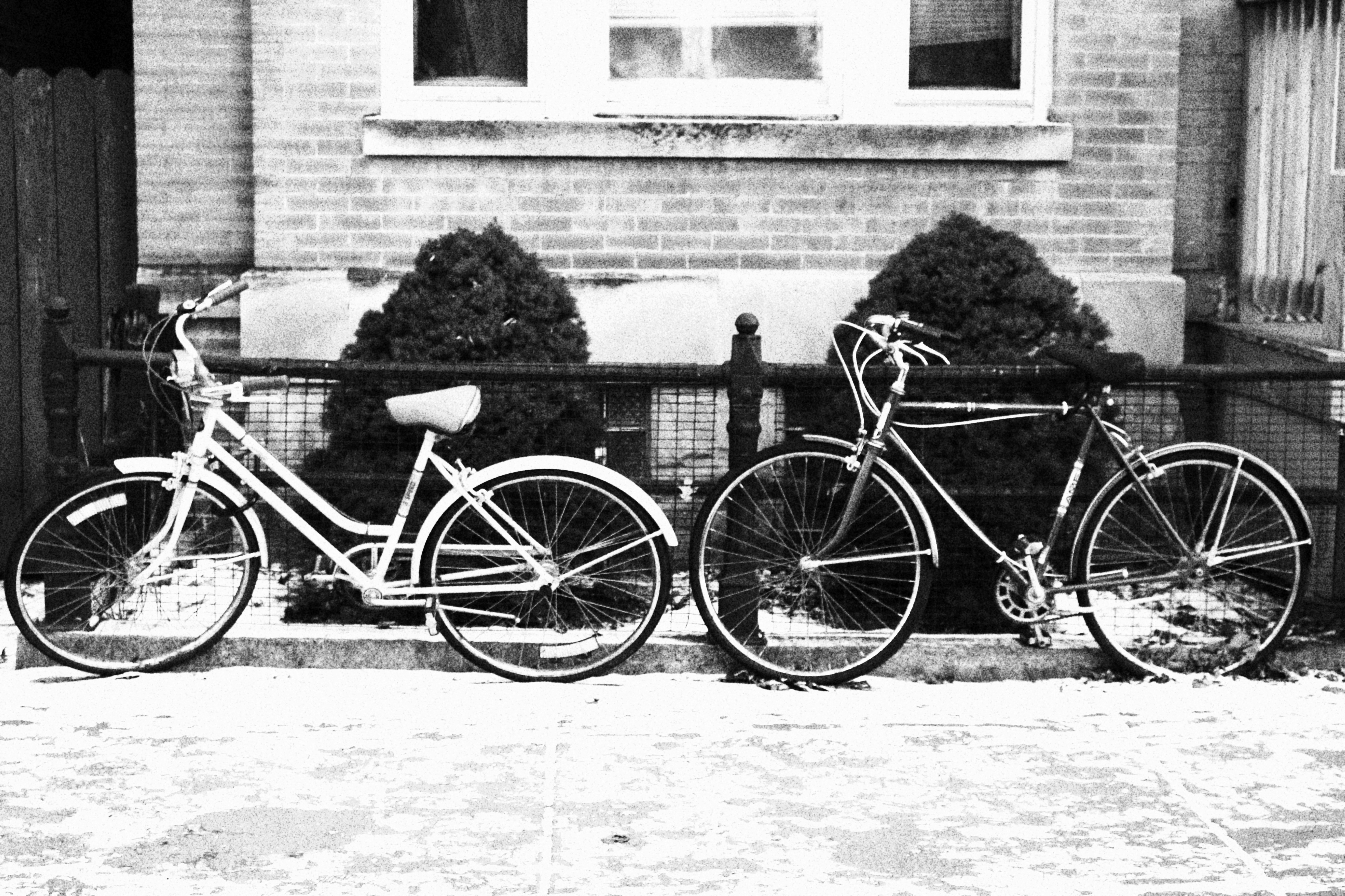 Free Unsplash photo from Noah Feldman