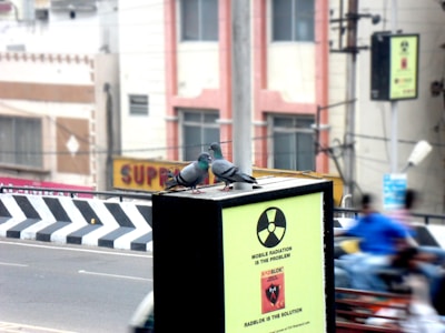 Two pigeons are perched on a rectangular box with a radiation warning sign. The background includes a cityscape with buildings and a road featuring a black and white chevron pattern on the barriers. Blurred figures suggest motion, likely pedestrians or vehicles.