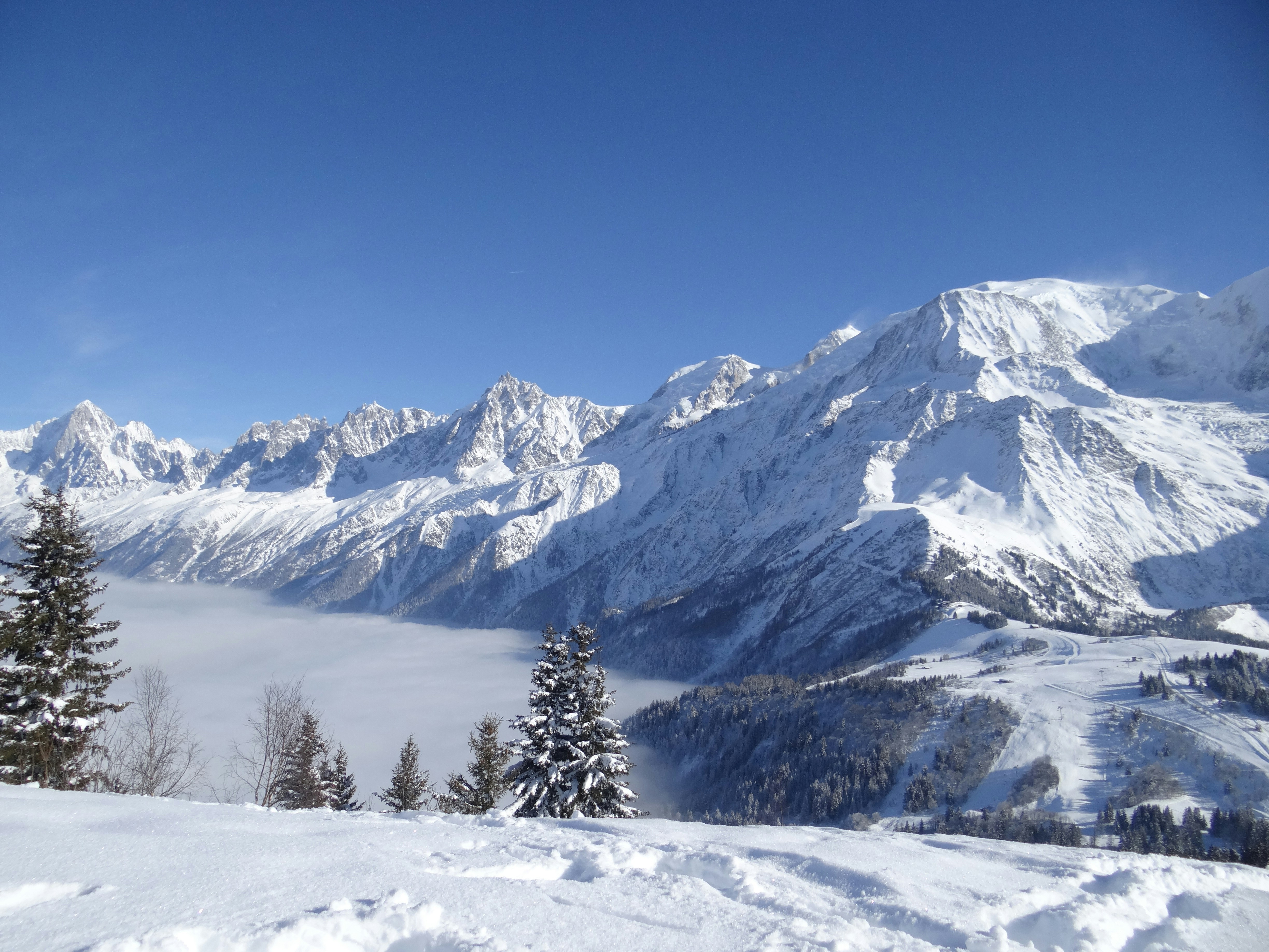 Free Unsplash photo from marion lucas